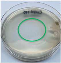 Polymers 15 02328 i012