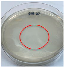 Polymers 15 02328 i013