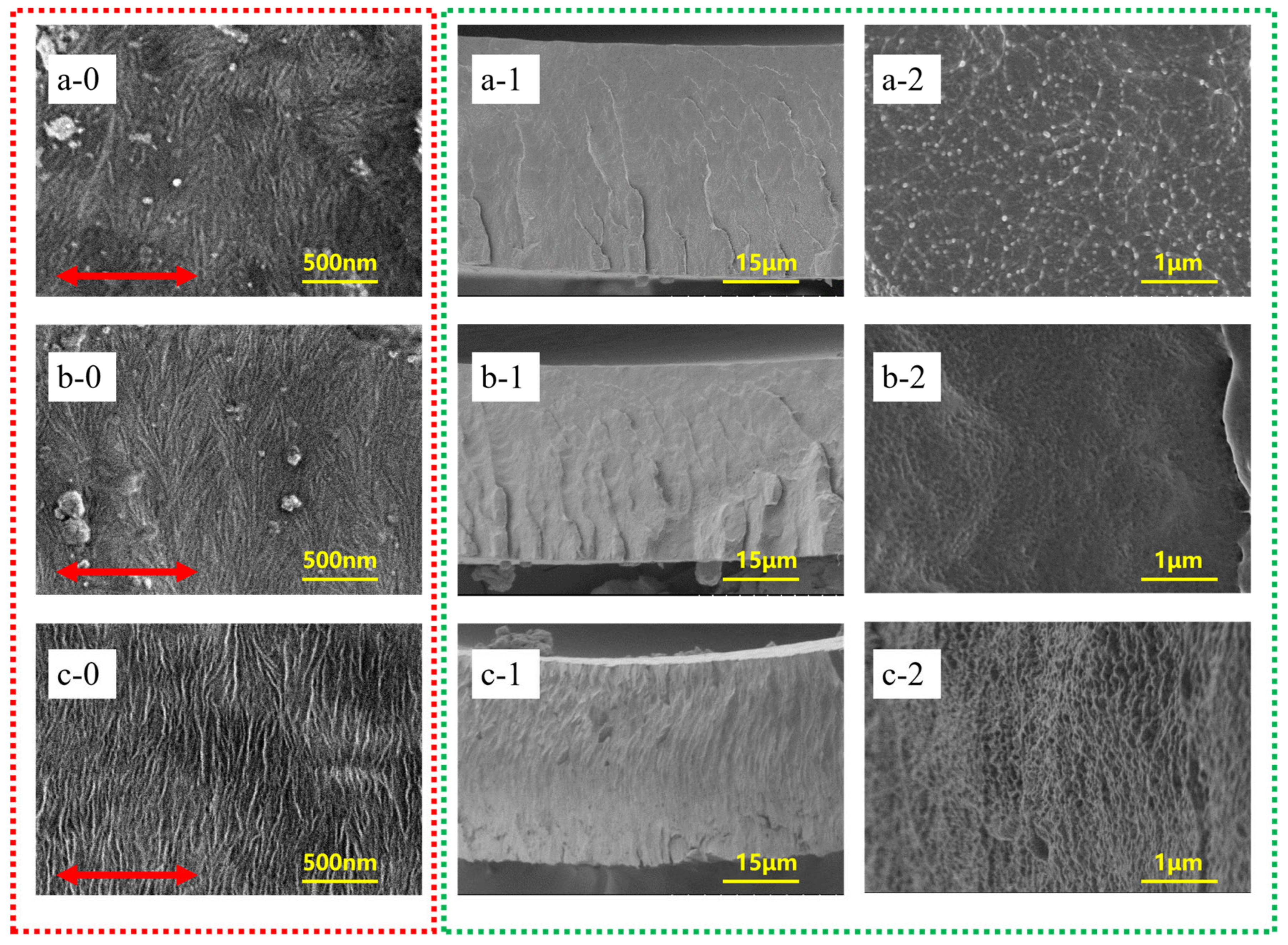 Polymers 15 02331 g002