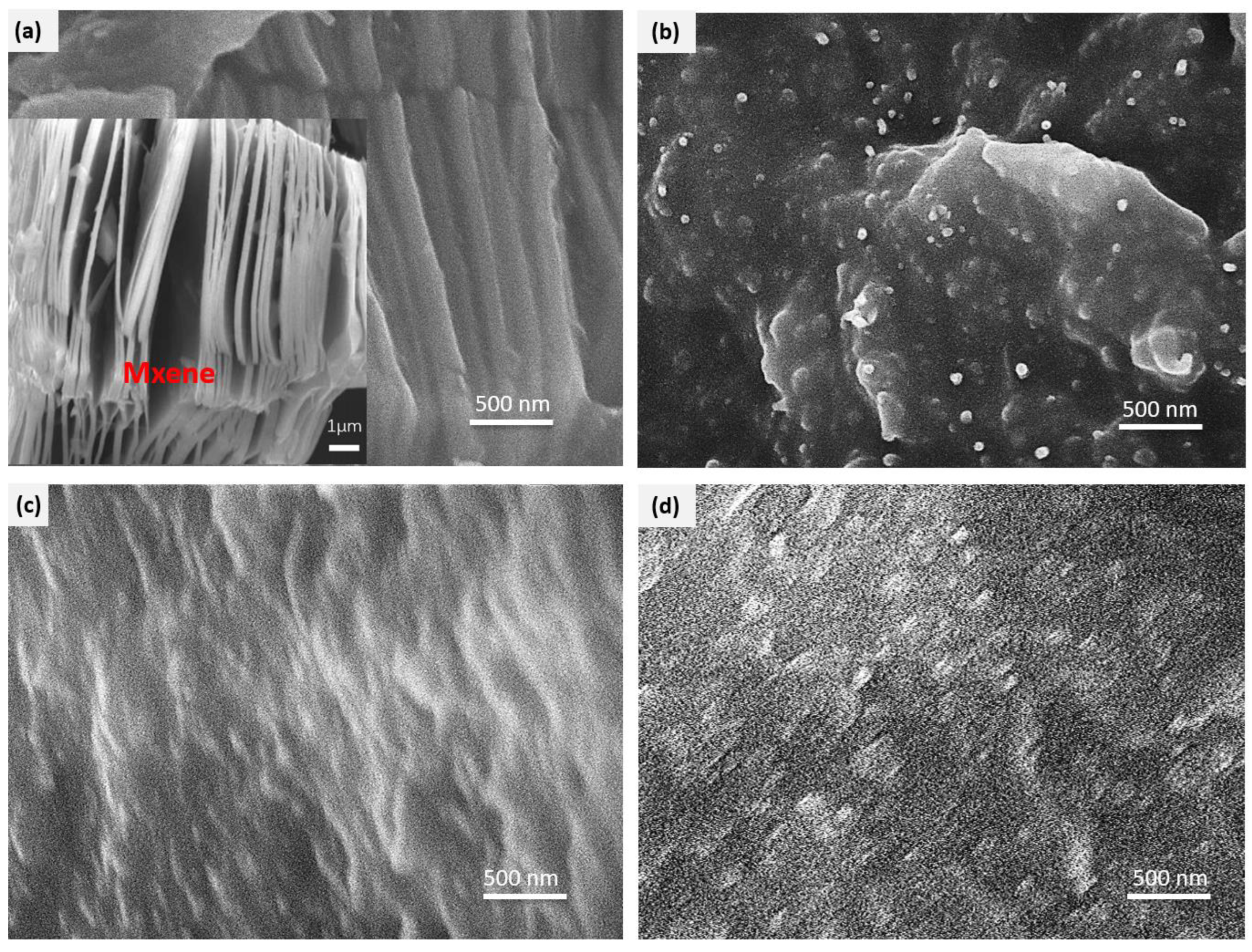 Polymers 15 02332 g004