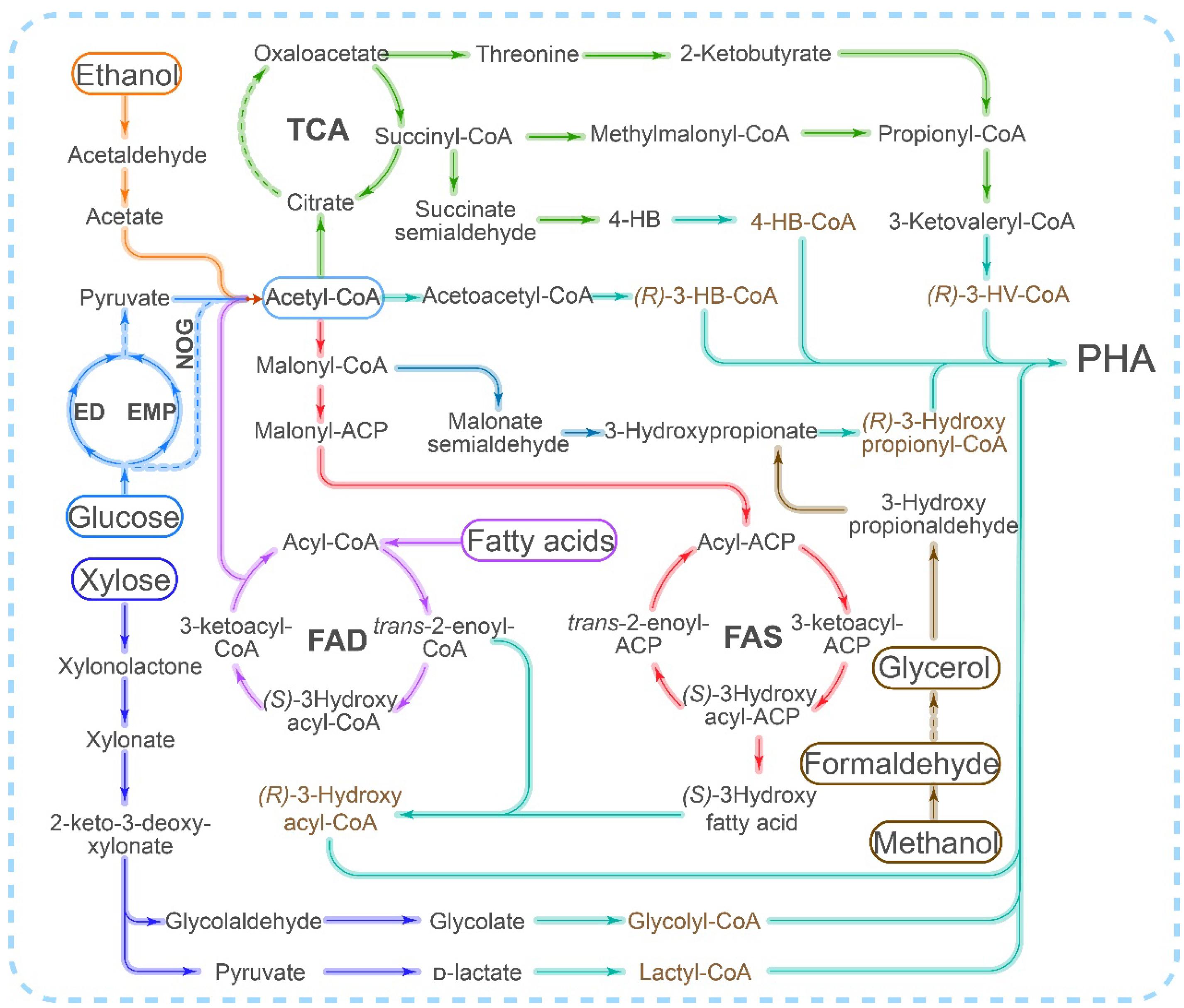 Polymers 15 02333 g001