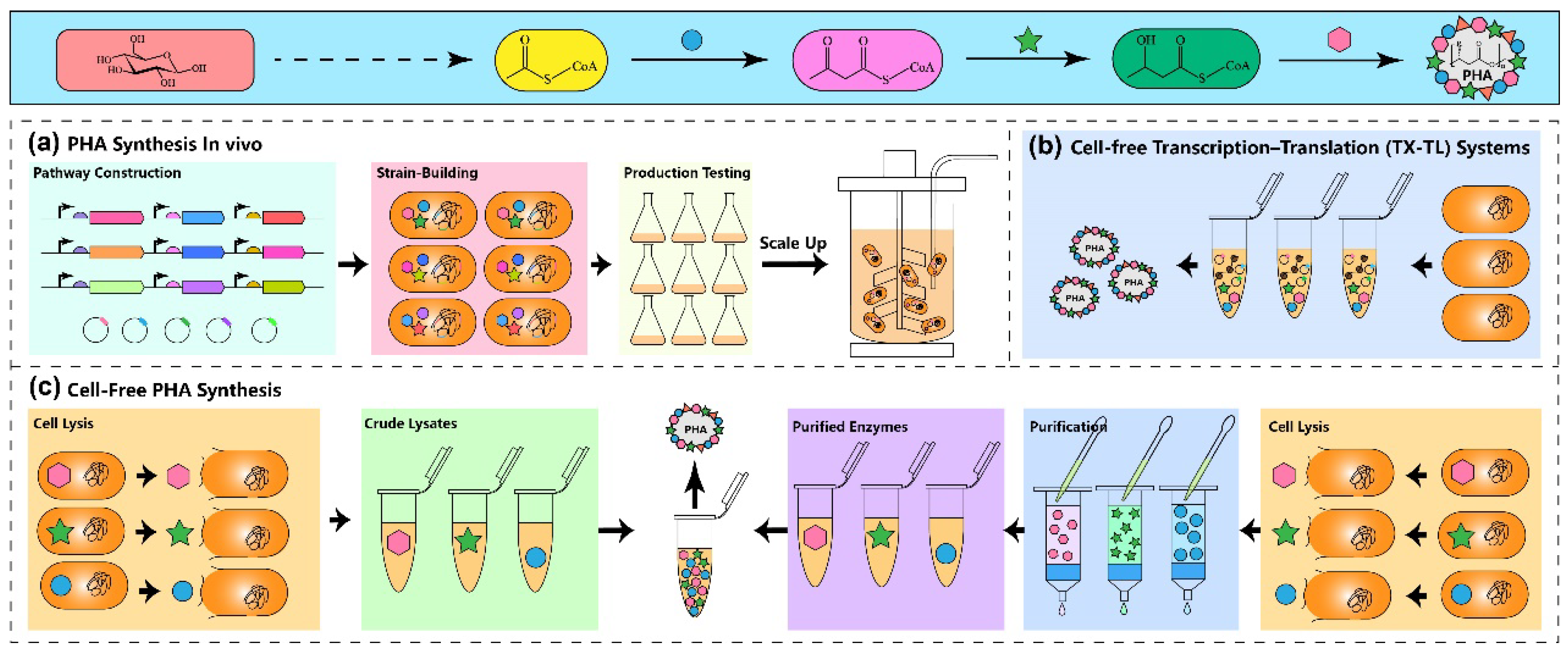 Polymers 15 02333 g002