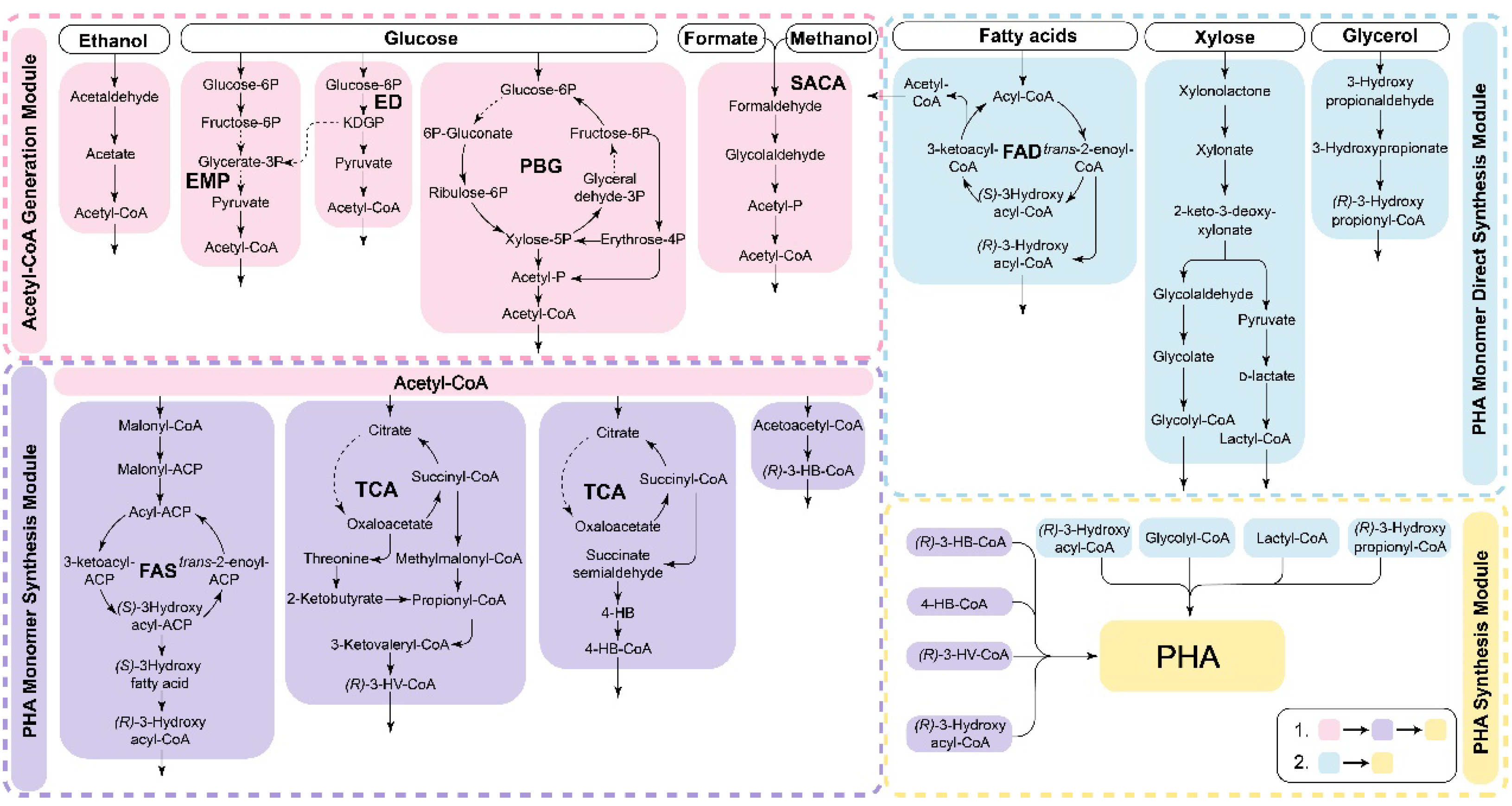 Polymers 15 02333 g003