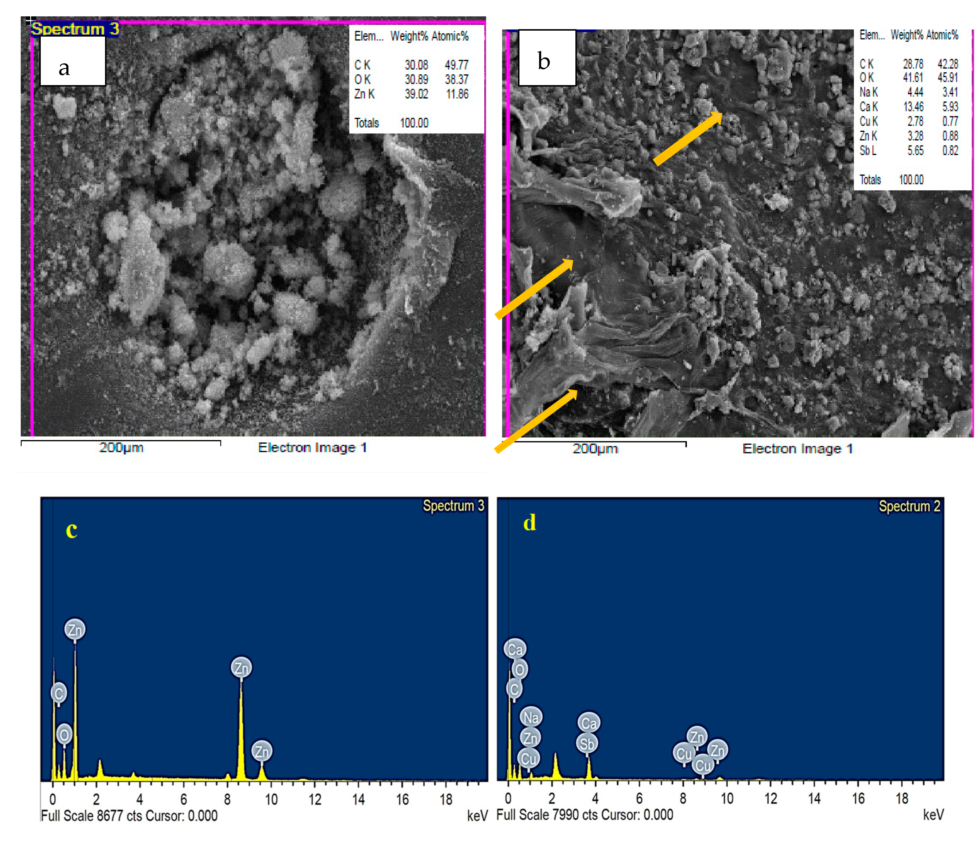 Polymers 15 02335 g005