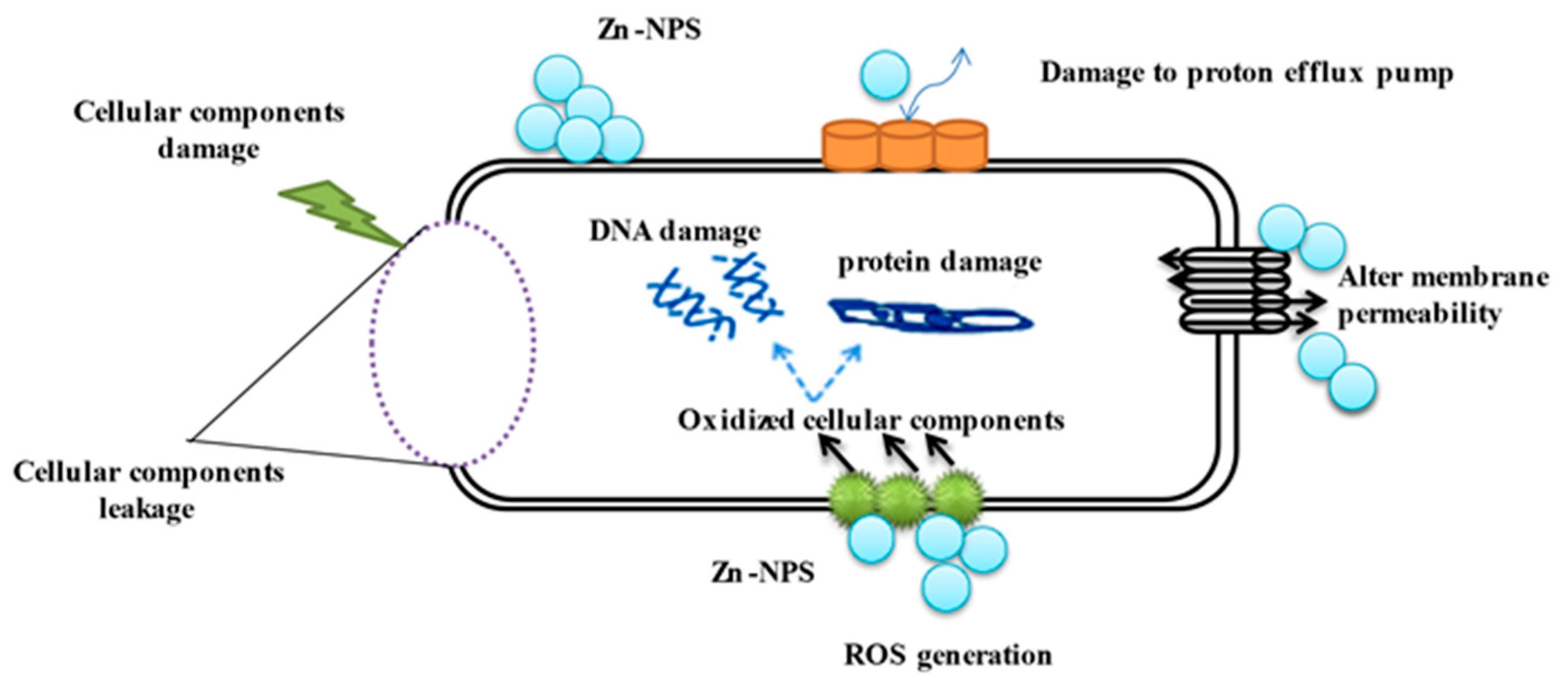 Polymers 15 02335 g012