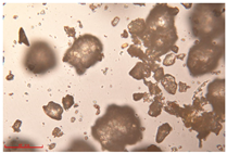 Polymers 15 02347 i008 Polymers 15 02347 i008
