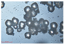 Polymers 15 02347 i012 Polymers 15 02347 i012