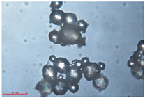 Polymers 15 02347 i018 Polymers 15 02347 i018