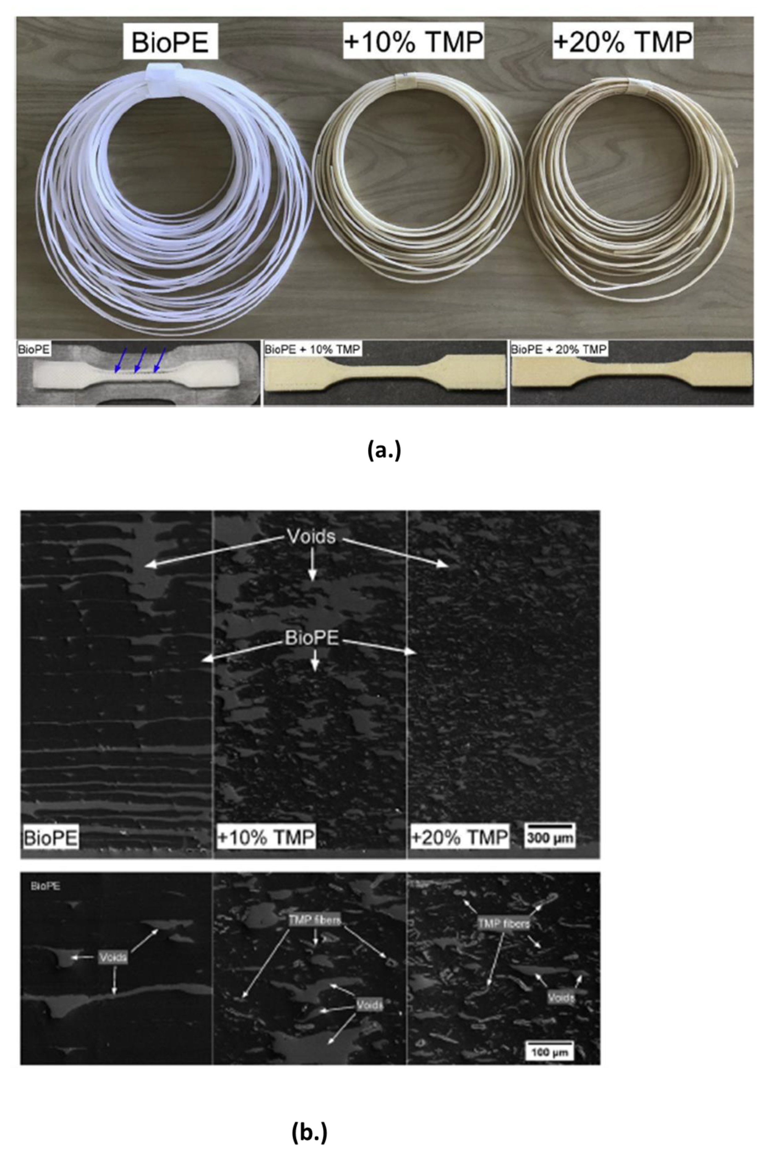 Polymers 15 02355 g007 Polymers 15 02355 g007