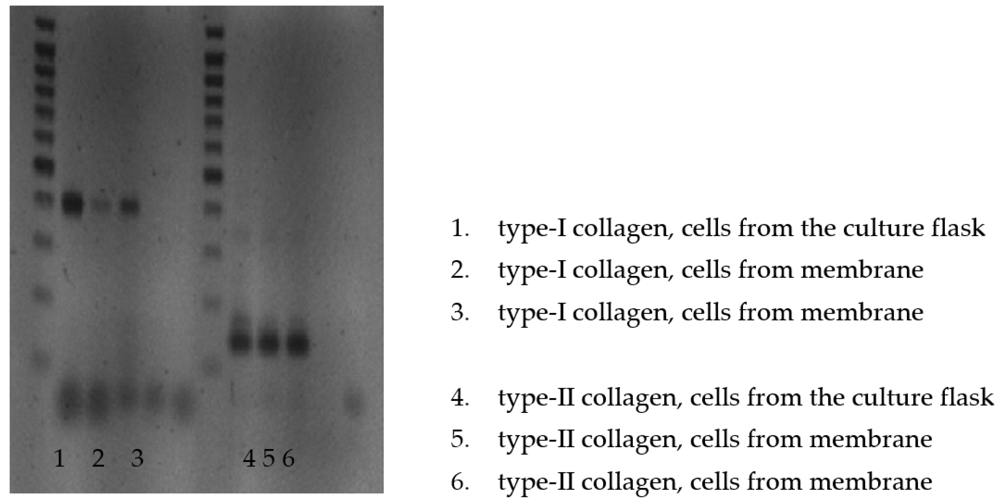 Polymers 15 02360 g007 Polymers 15 02360 g007