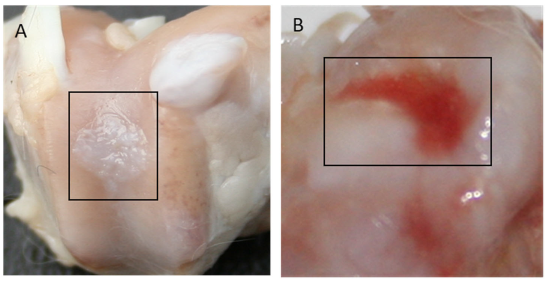 Polymers 15 02360 g009 Polymers 15 02360 g009