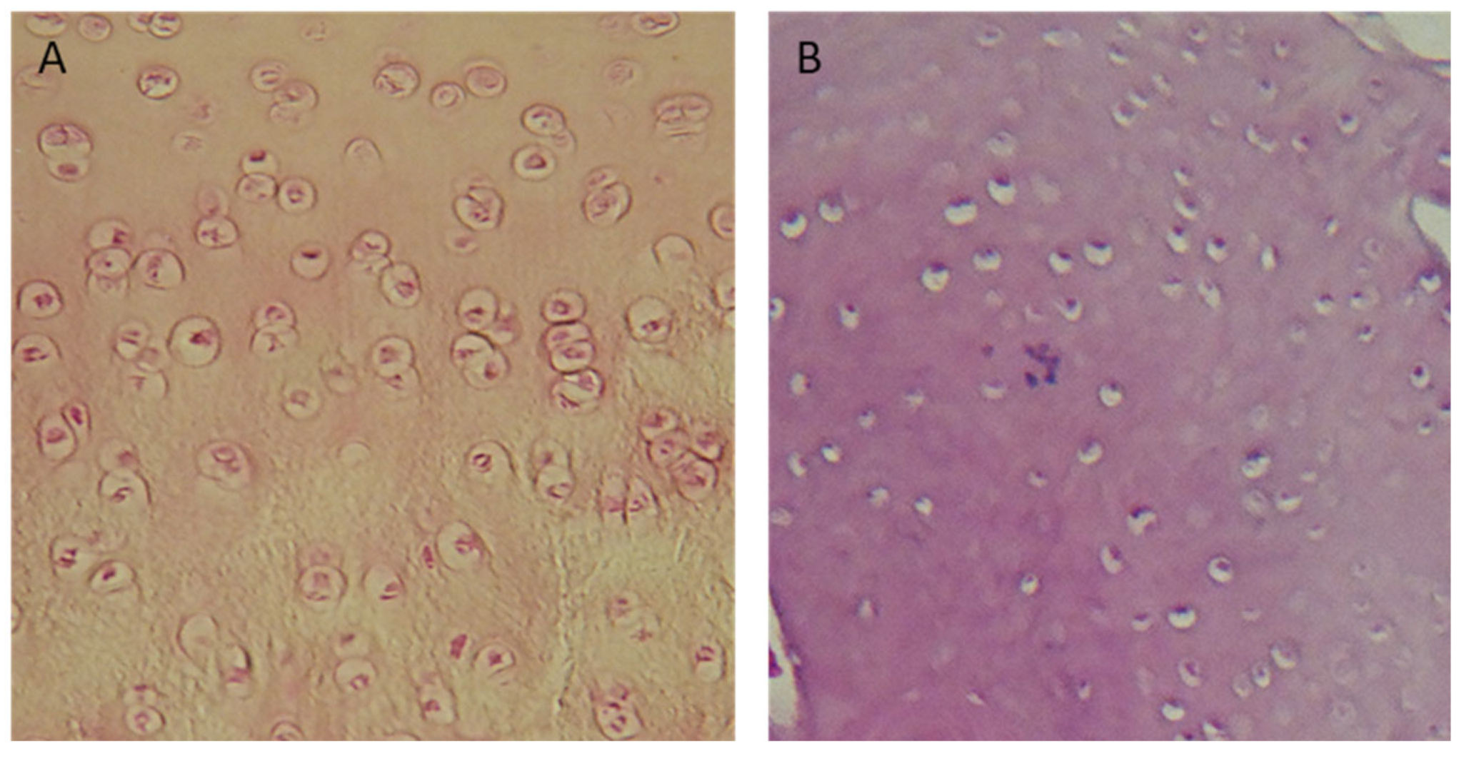 Polymers 15 02360 g012 Polymers 15 02360 g012