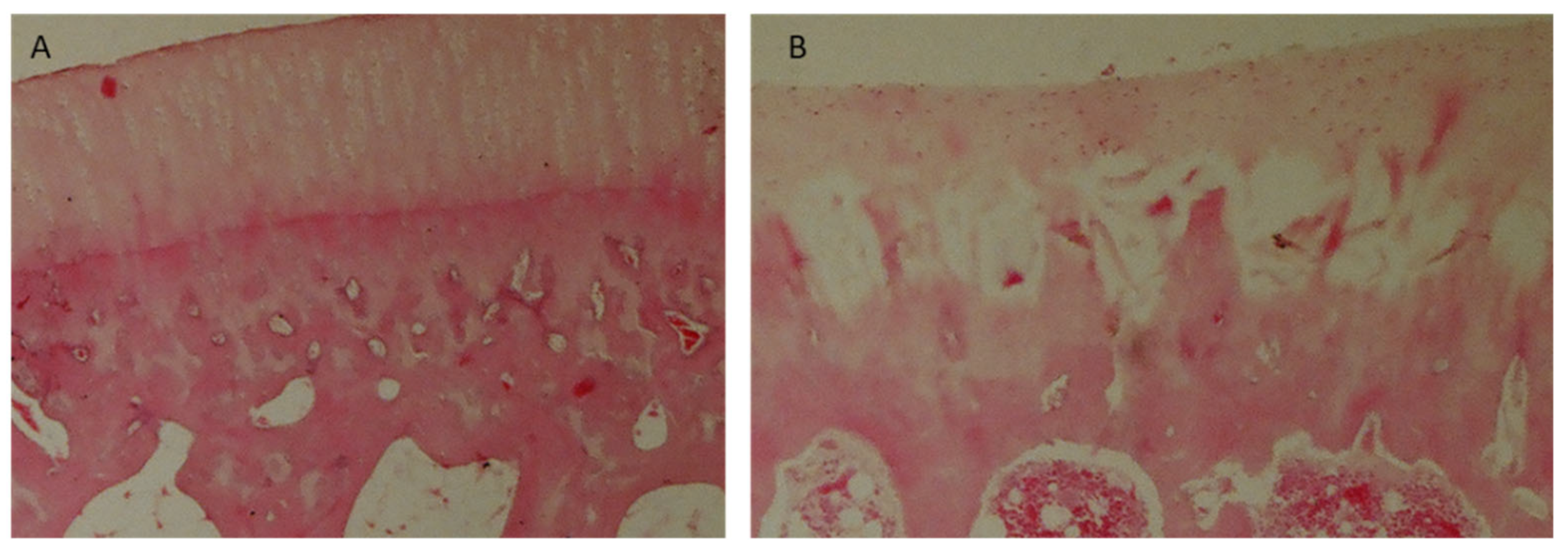 Polymers 15 02360 g013 Polymers 15 02360 g013