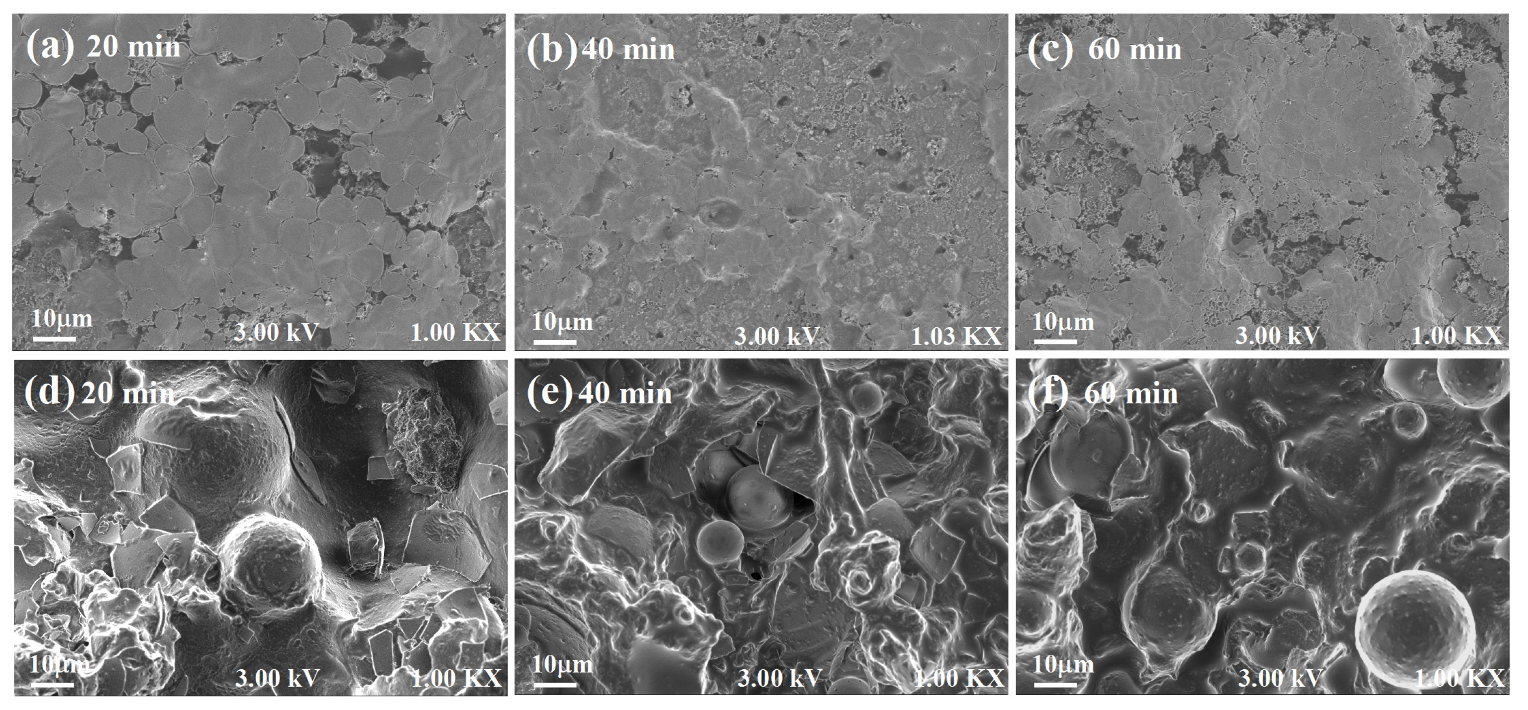 Polymers 15 02361 g004 Polymers 15 02361 g004
