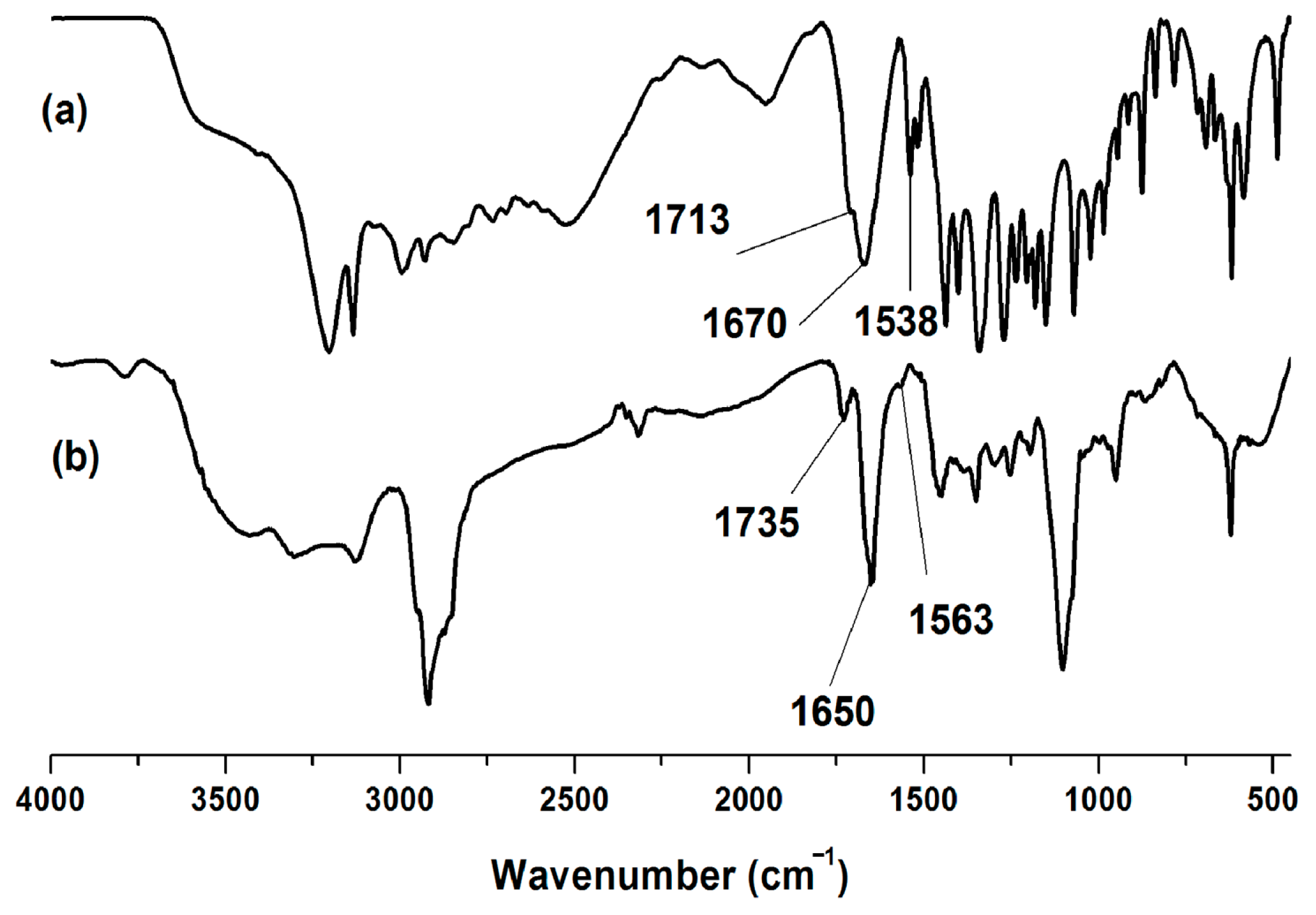 Polymers 15 02363 g001