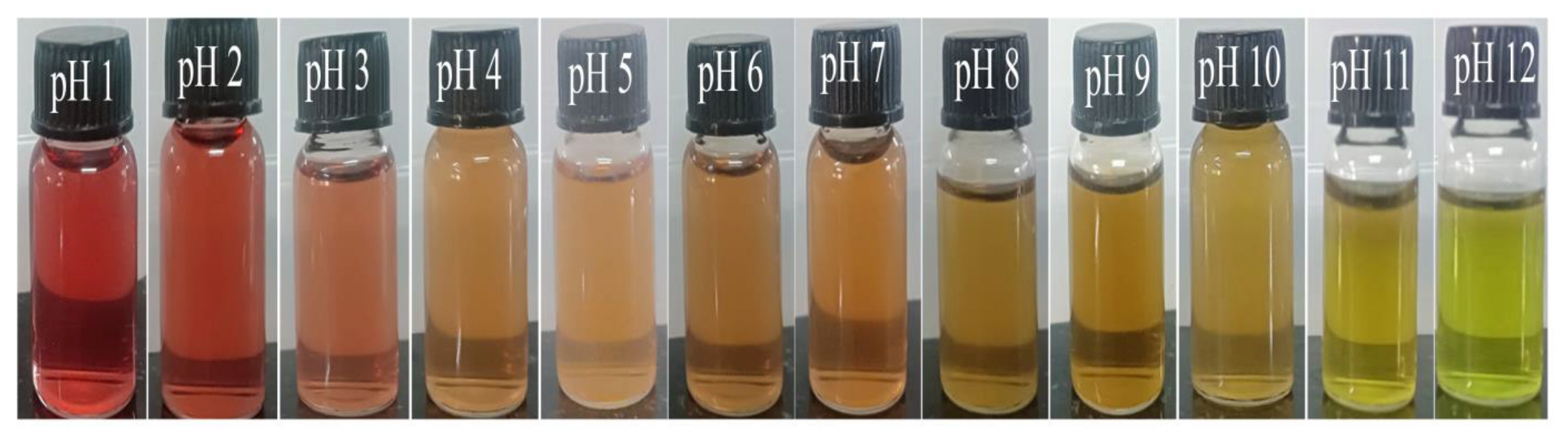 Polymers 15 02372 g004 Polymers 15 02372 g004
