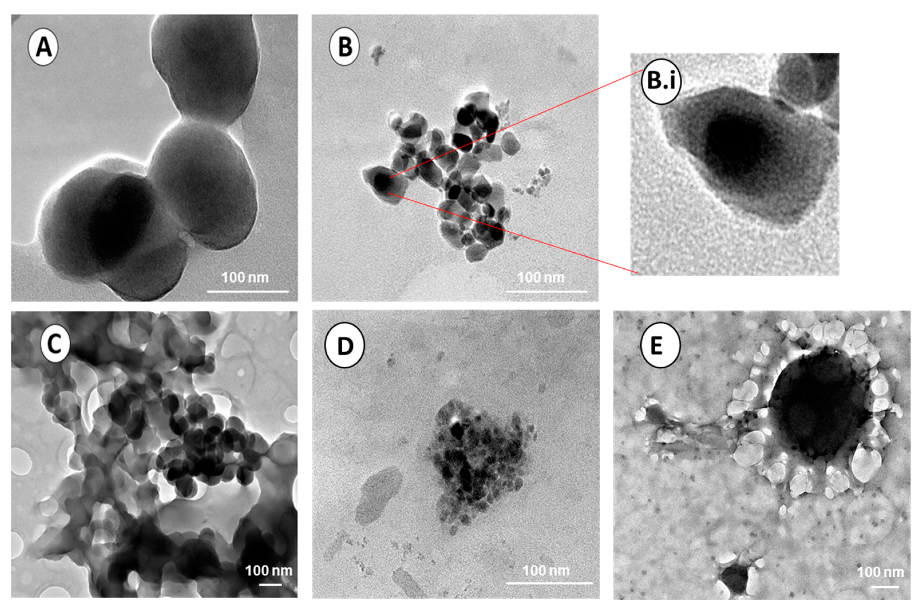 Polymers 15 02393 g005 Polymers 15 02393 g005