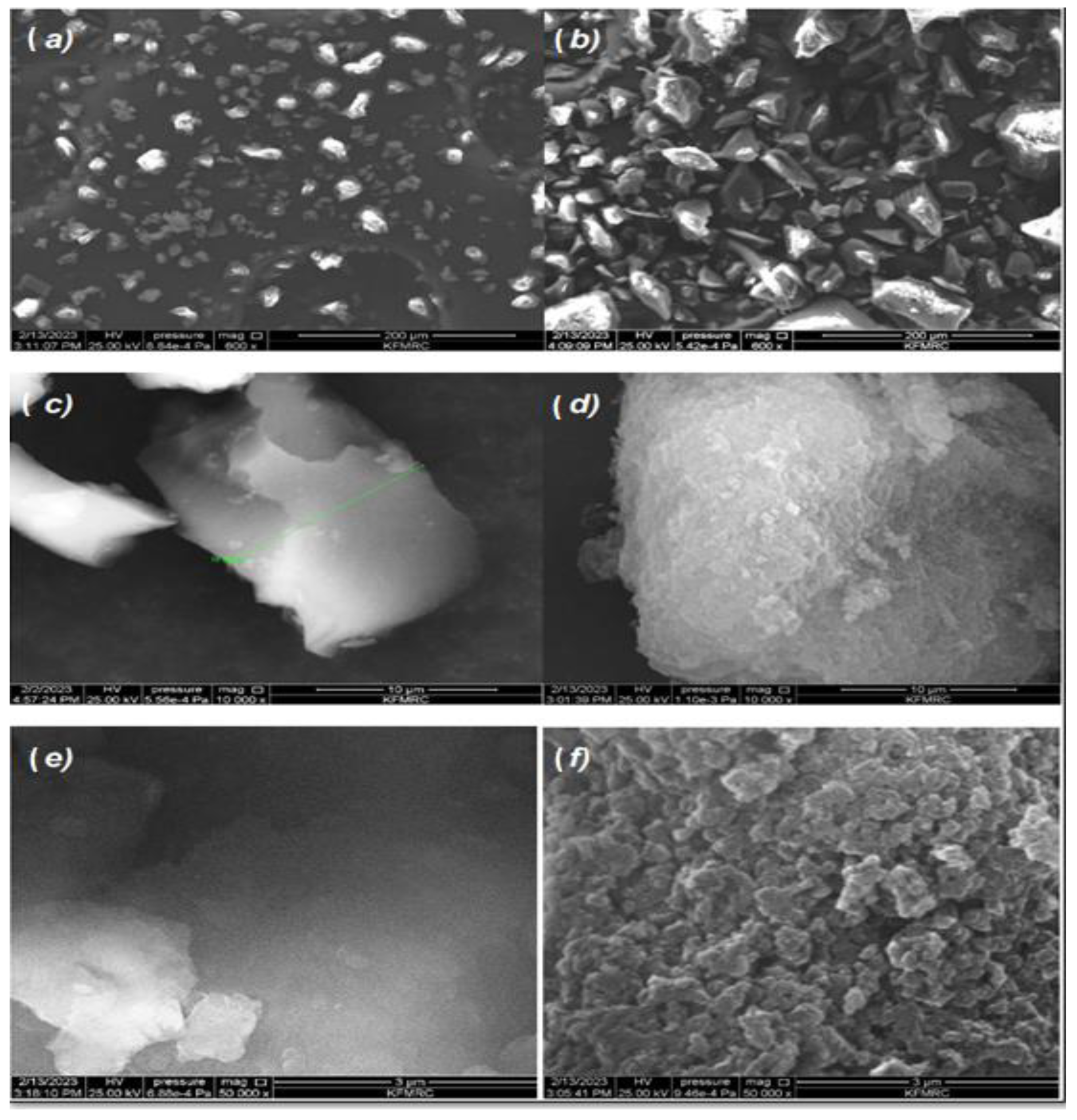 Polymers 15 02398 g007