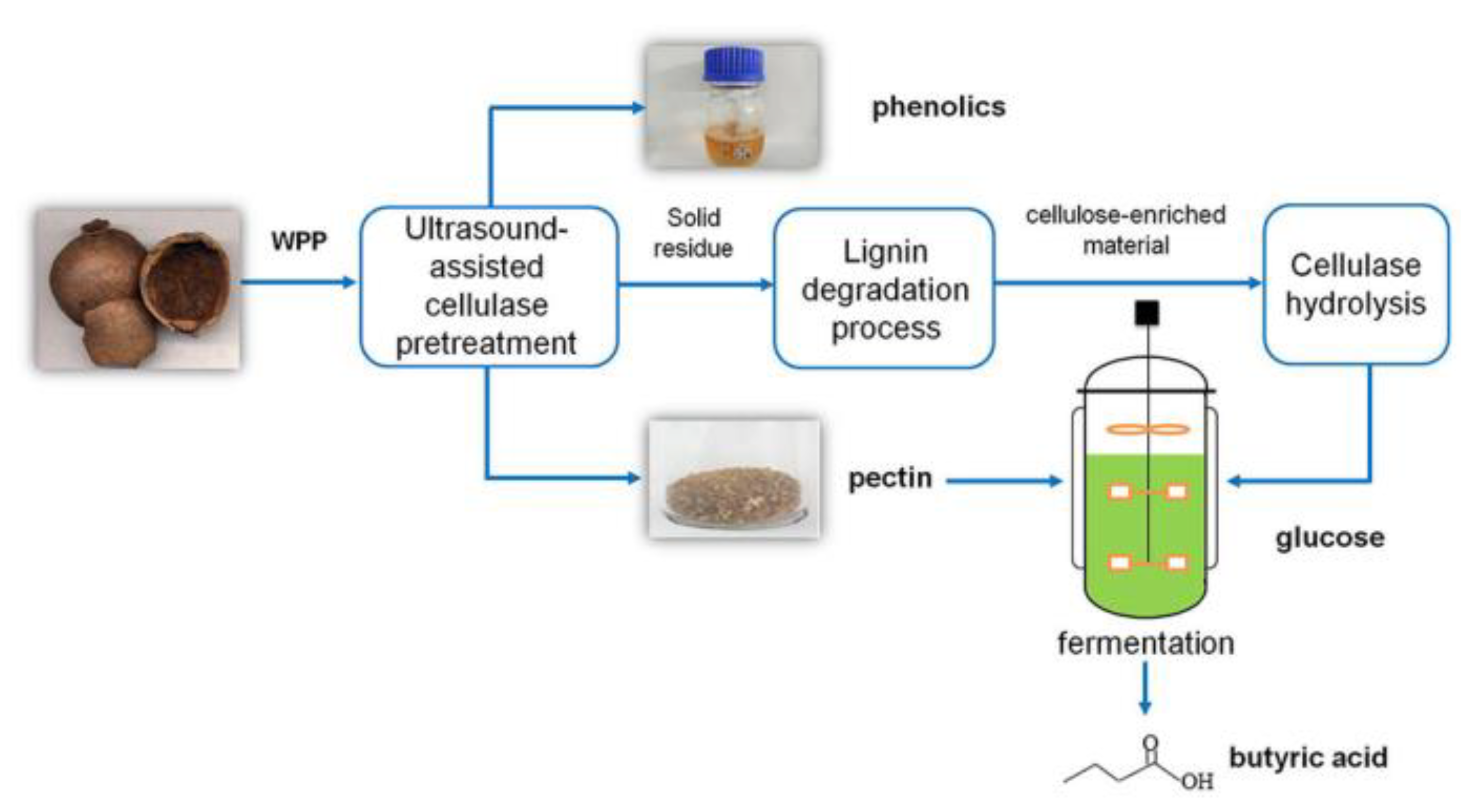Polymers 15 02401 g001