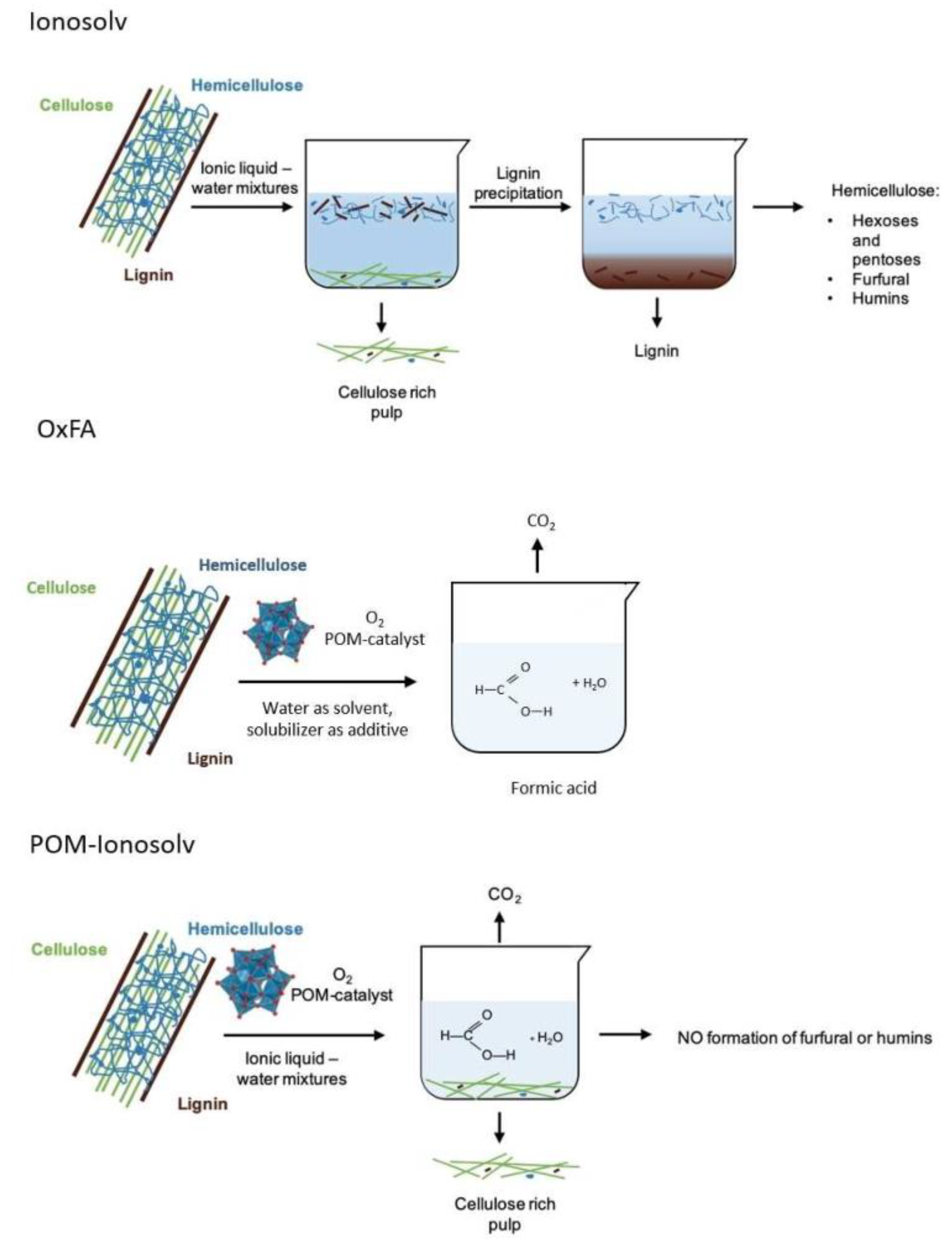 Polymers 15 02401 g002