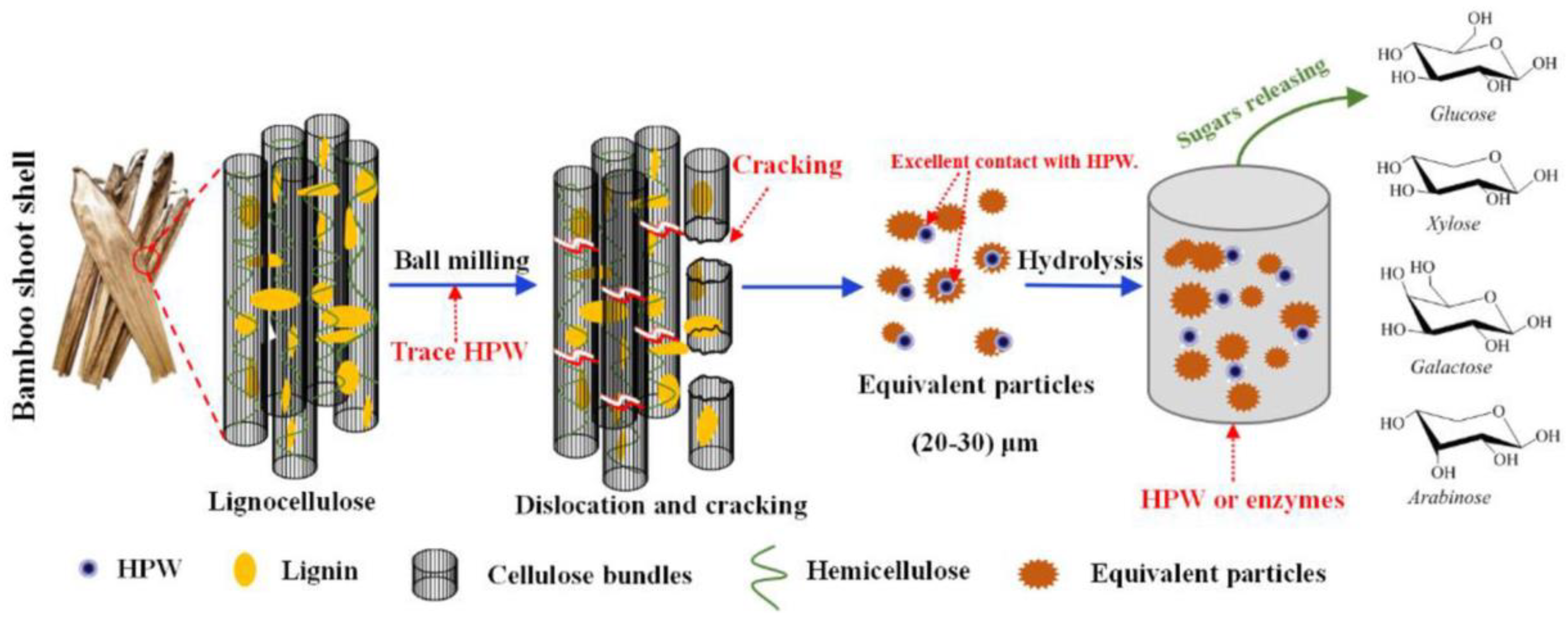 Polymers 15 02401 g004