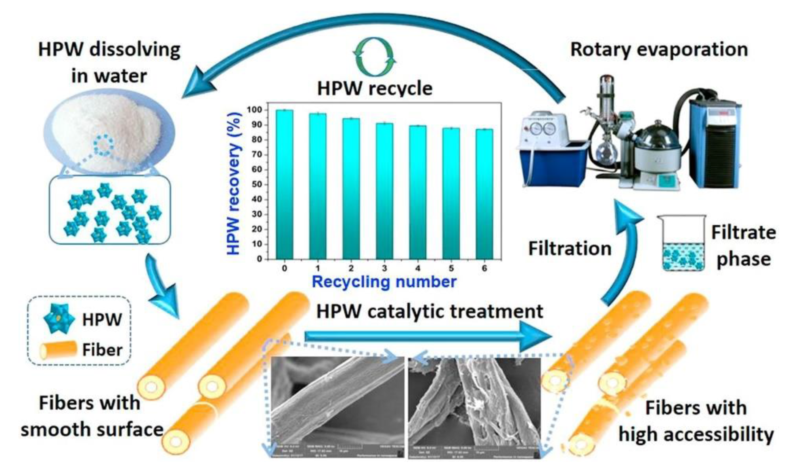 Polymers 15 02401 g005
