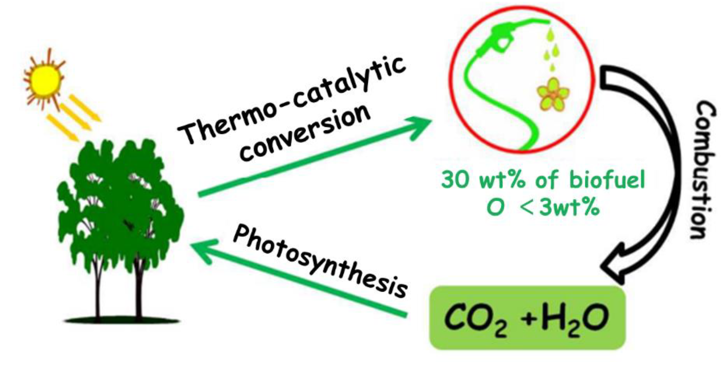 Polymers 15 02401 g006