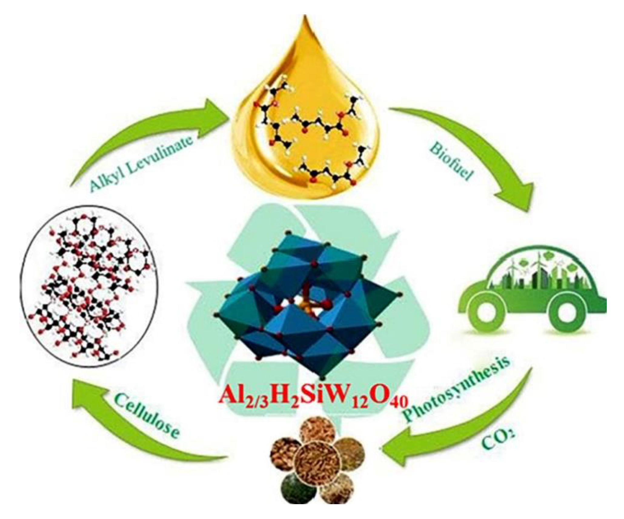 Polymers 15 02401 g007