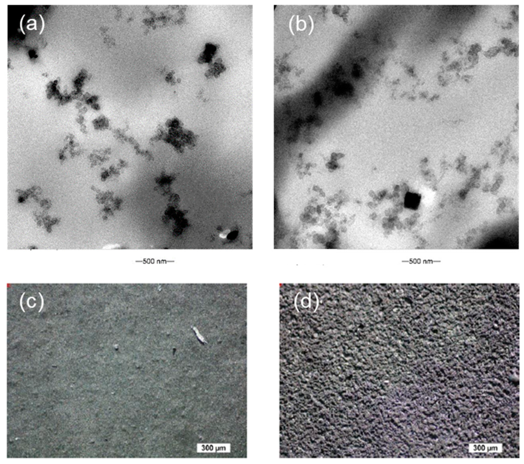 Polymers 15 02410 g003