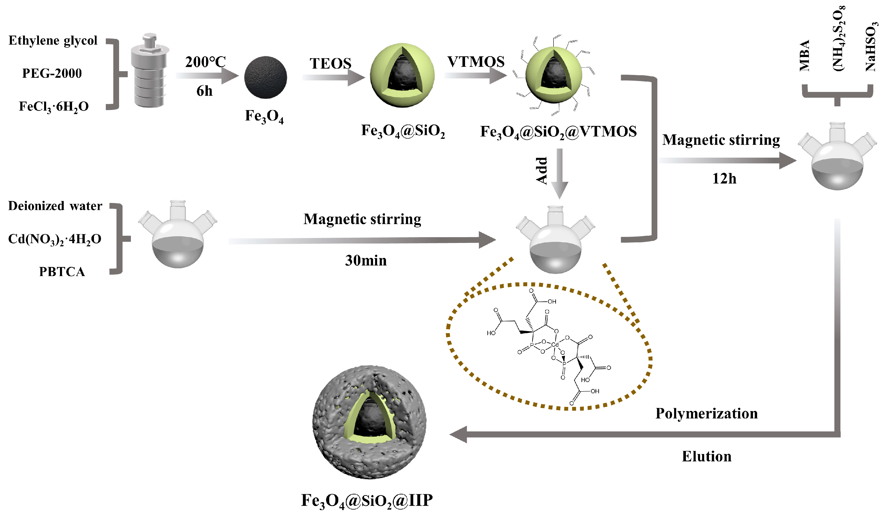 Polymers Free Full Text Selective Adsorption Behavior and