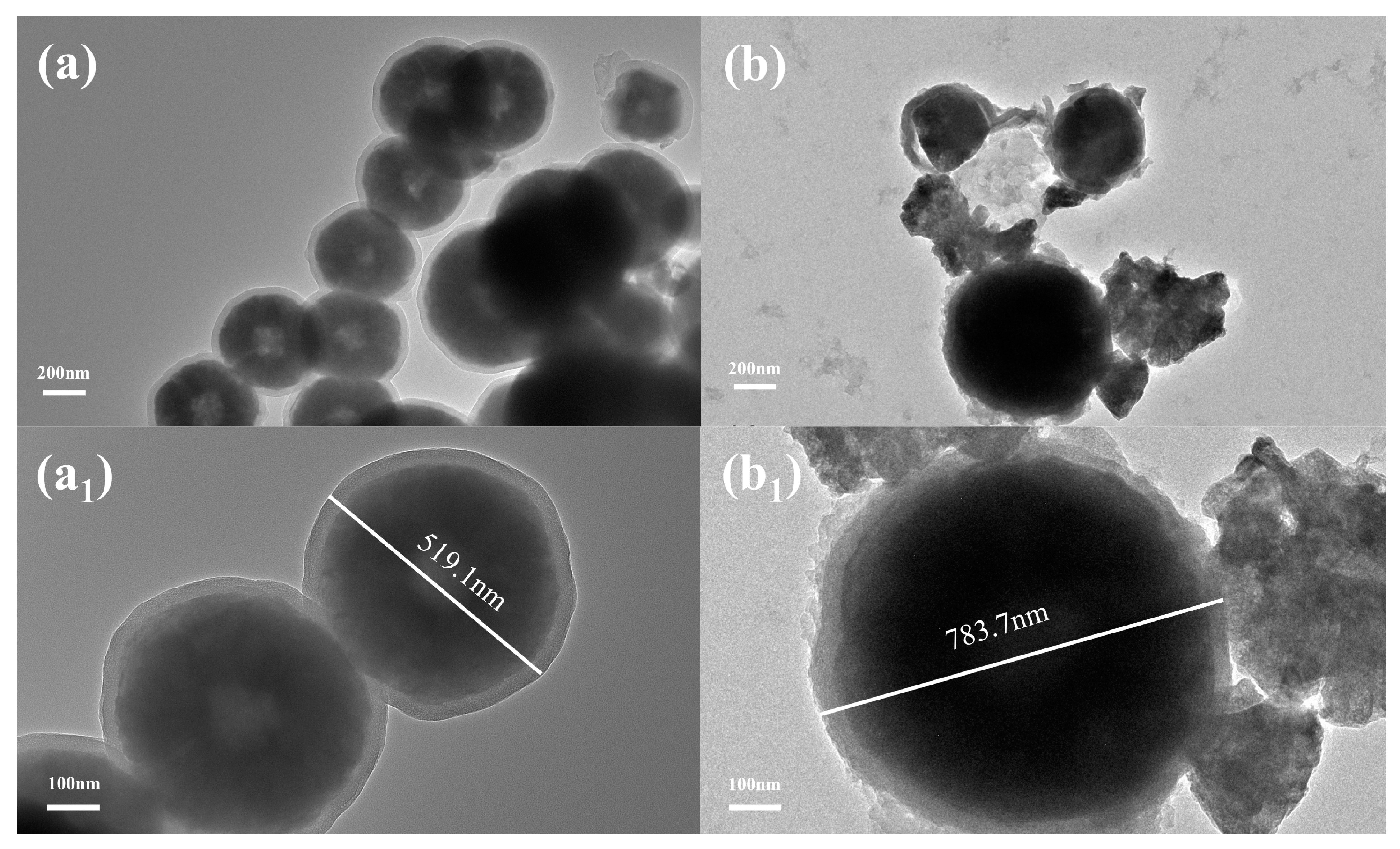 Polymers 15 02416 g002 Polymers 15 02416 g002