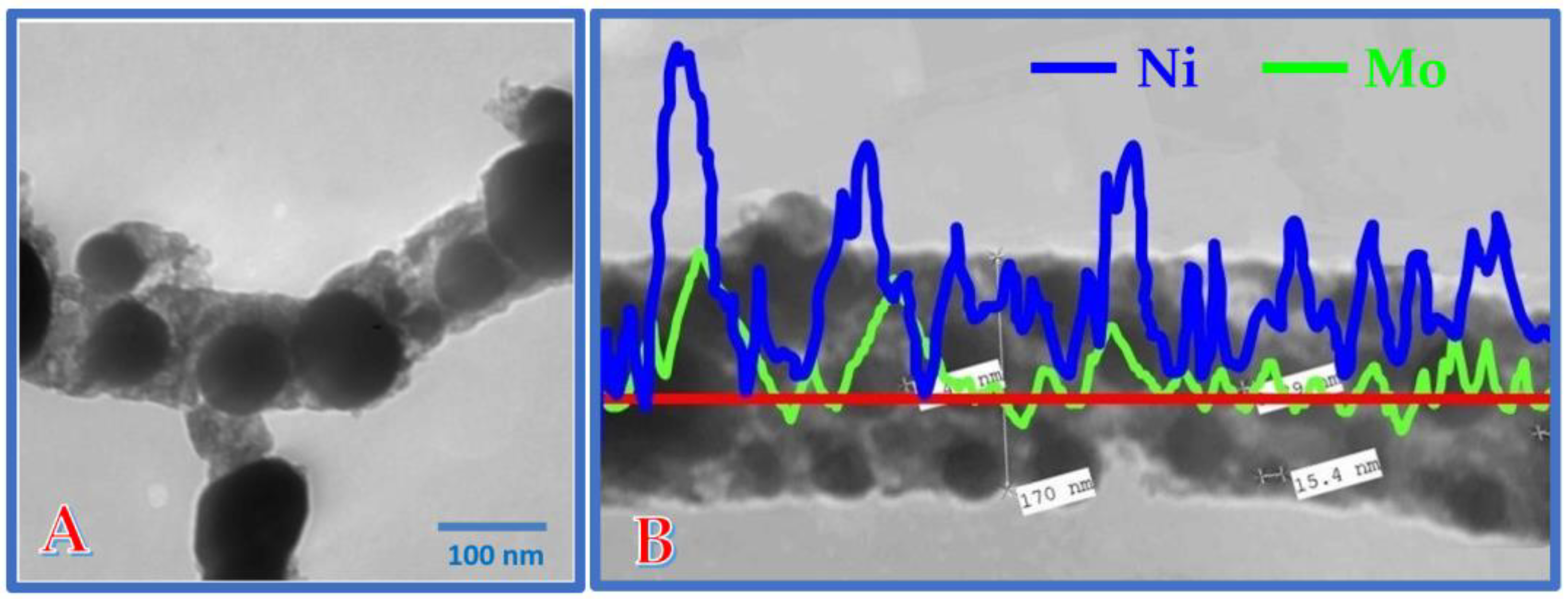 Polymers 15 02430 g003