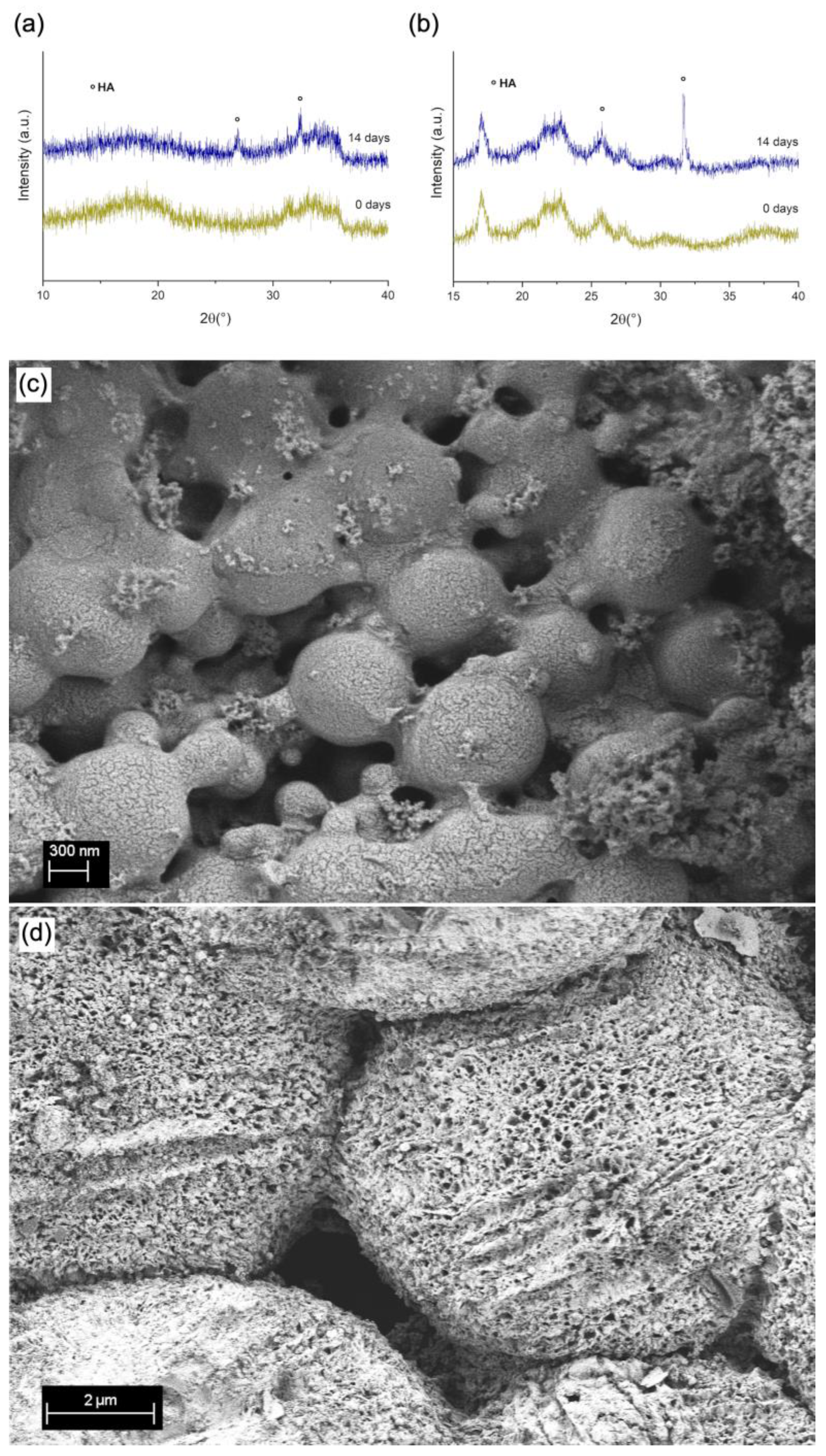 Polymers 15 02432 g004 Polymers 15 02432 g004
