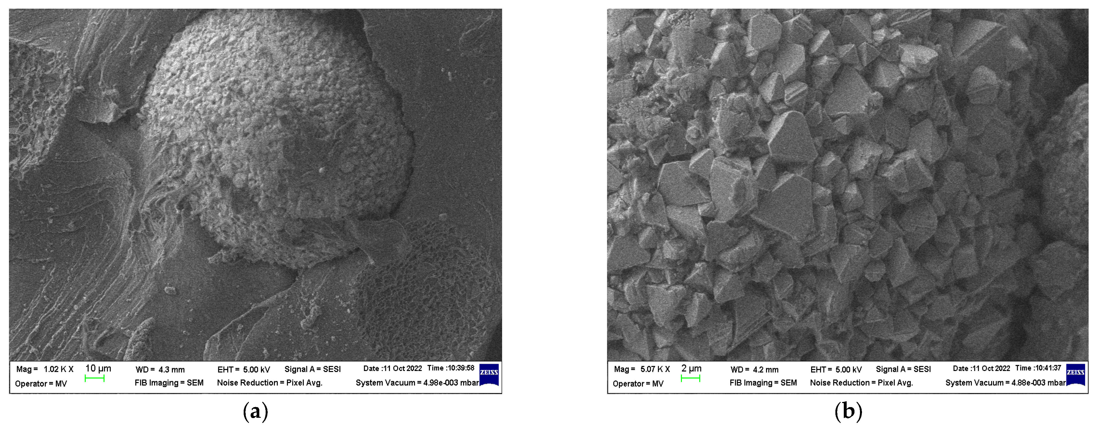 Polymers 15 02447 g006a