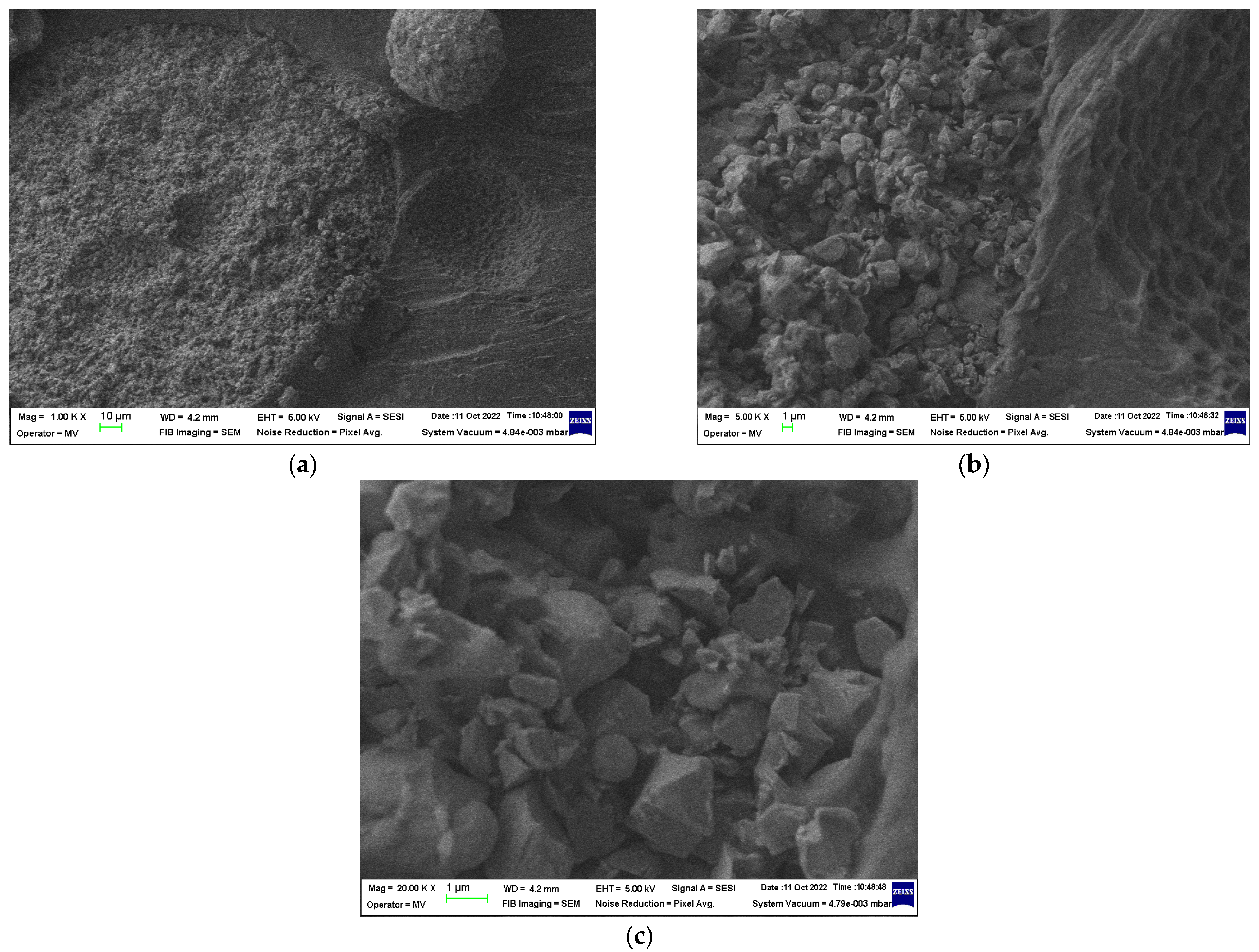 Polymers 15 02447 g007