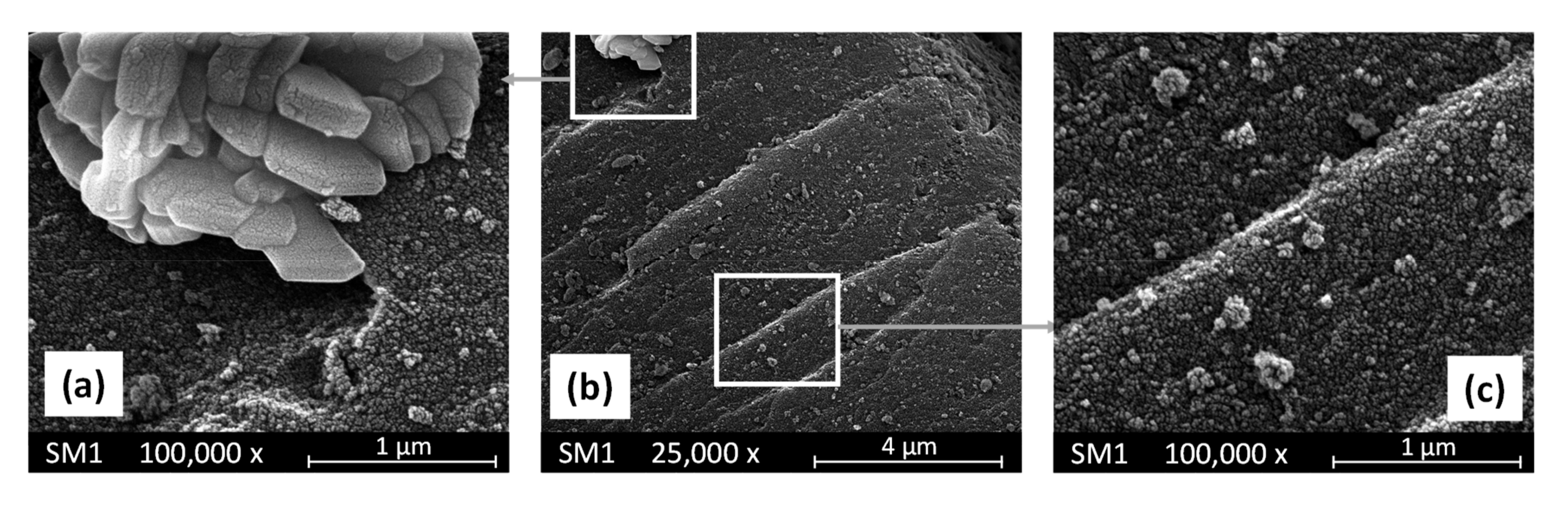 Polymers 15 02456 g003 Polymers 15 02456 g003