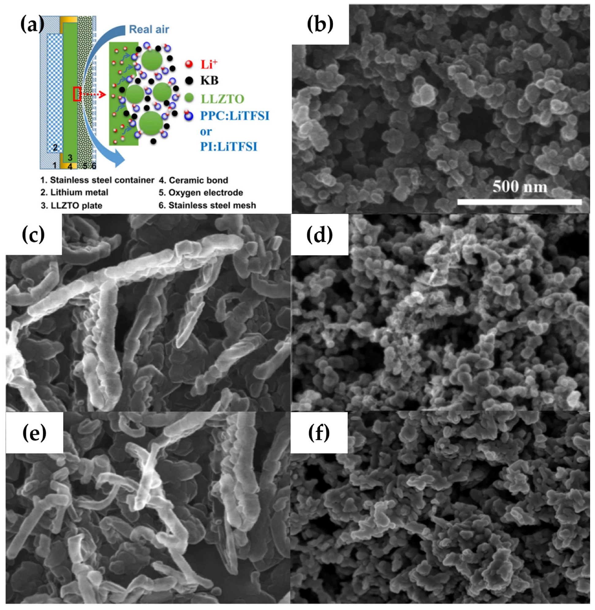 Polymers 15 02469 g002