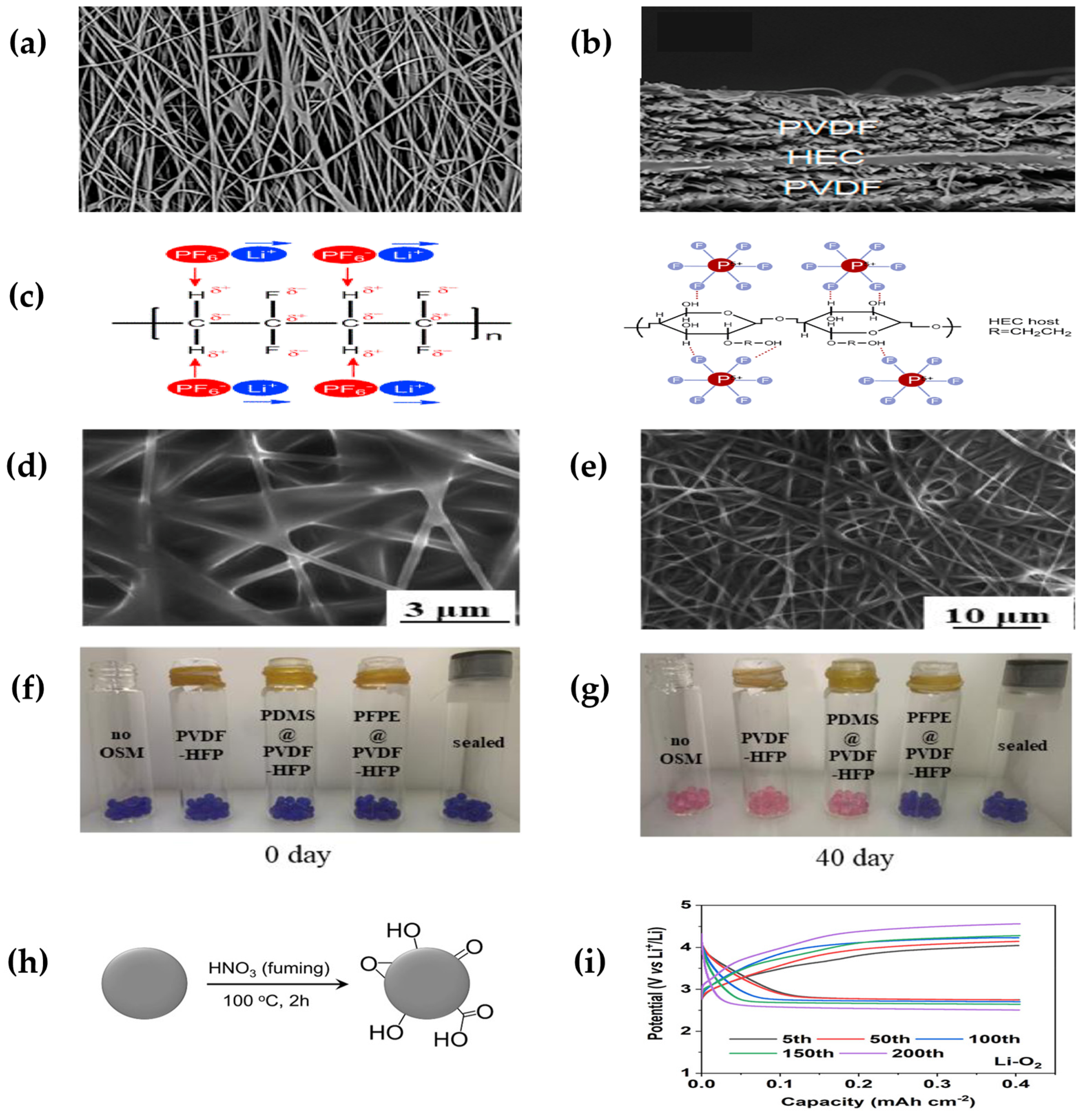 Polymers 15 02469 g005