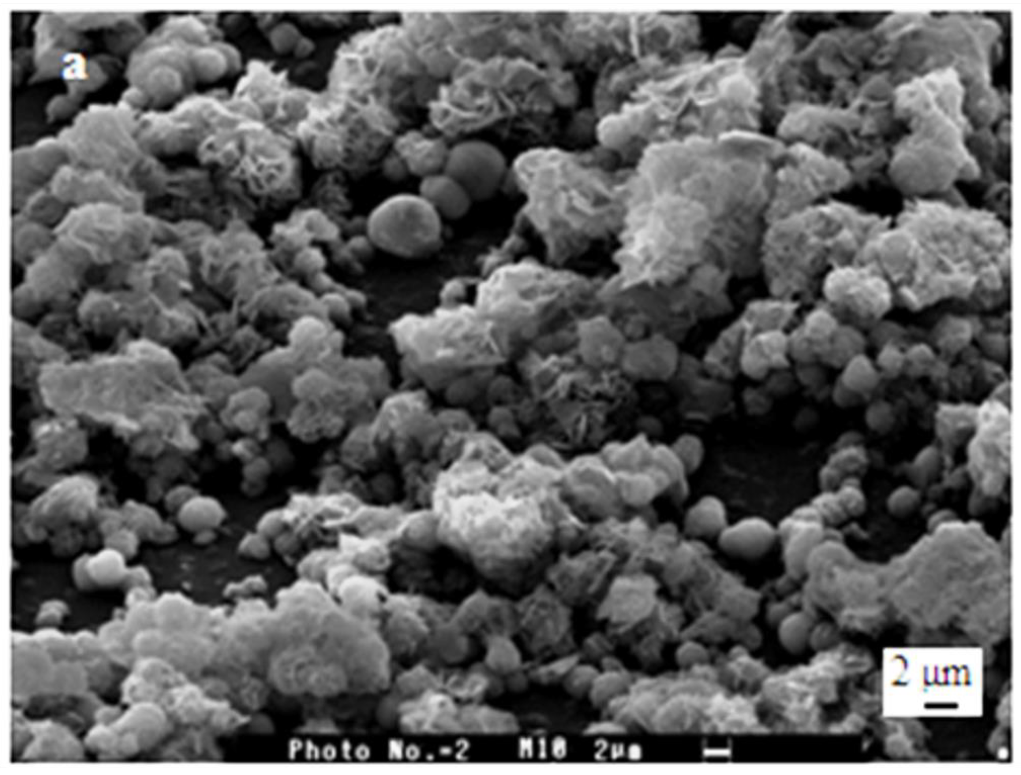 Polymers 15 02470 g005a