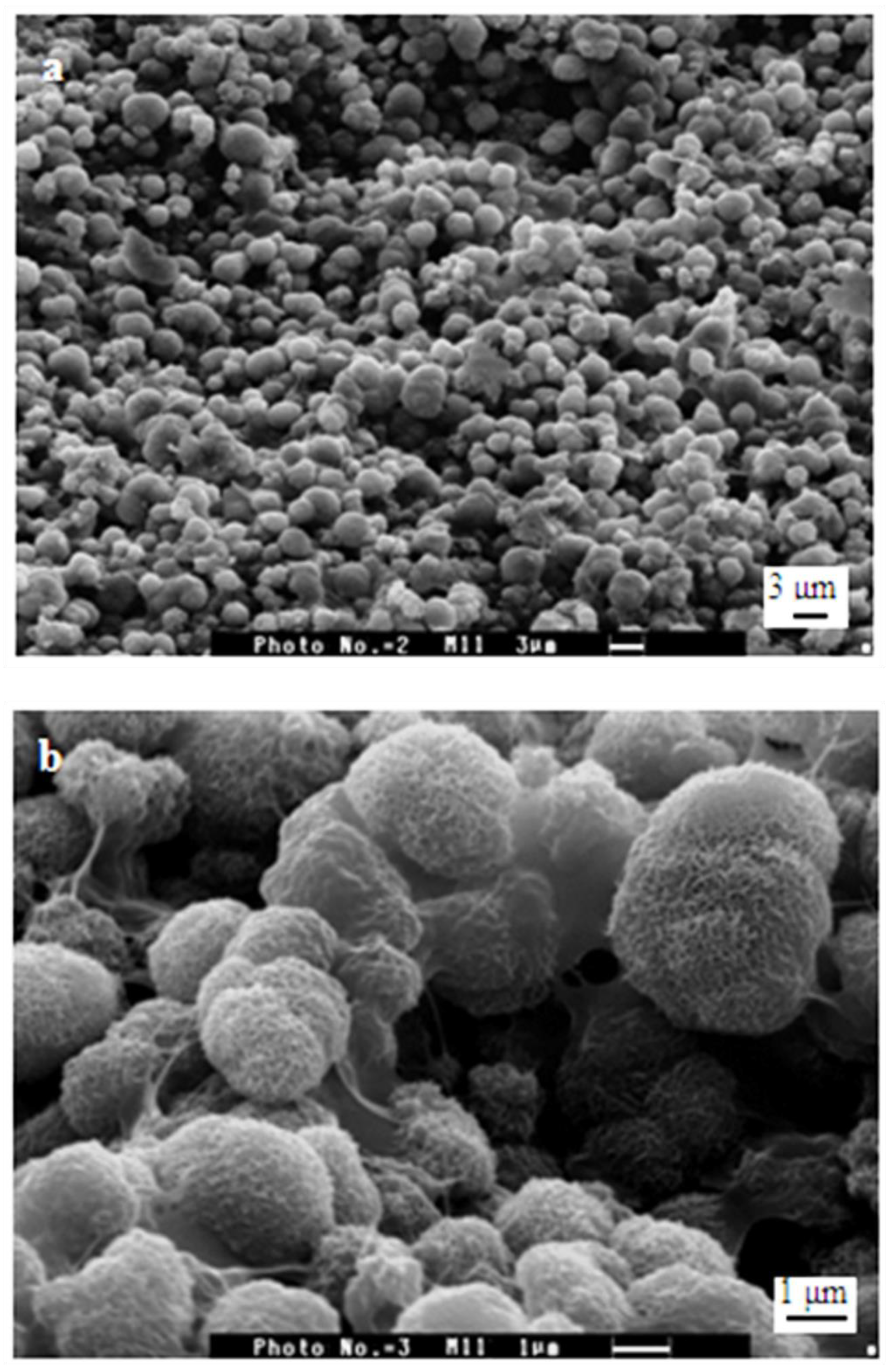 Polymers 15 02470 g007