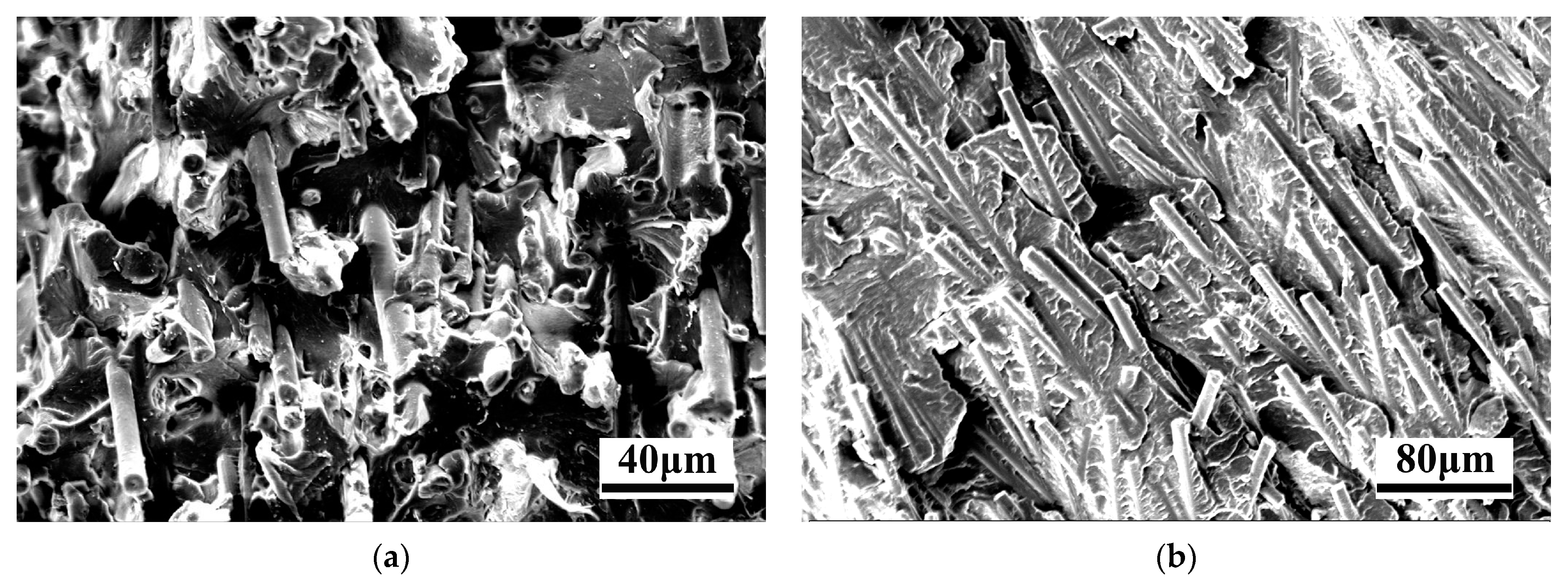 Polymers 15 02476 g009 Polymers 15 02476 g009
