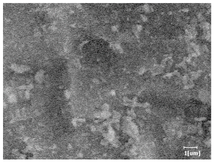 Polymers 15 02496 i008