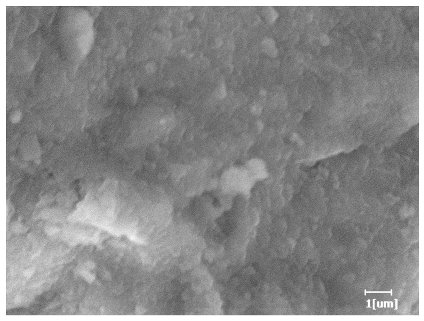 Polymers 15 02496 i009