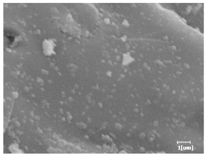 Polymers 15 02496 i013