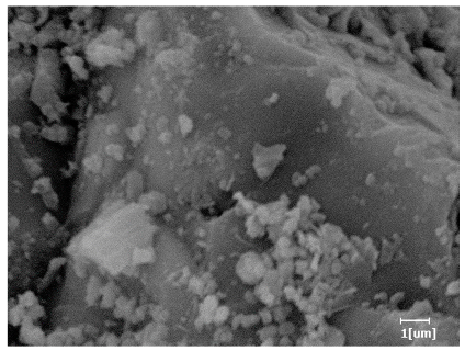 Polymers 15 02496 i015