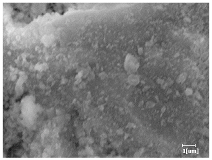 Polymers 15 02496 i016