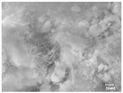 Polymers 15 02496 i018