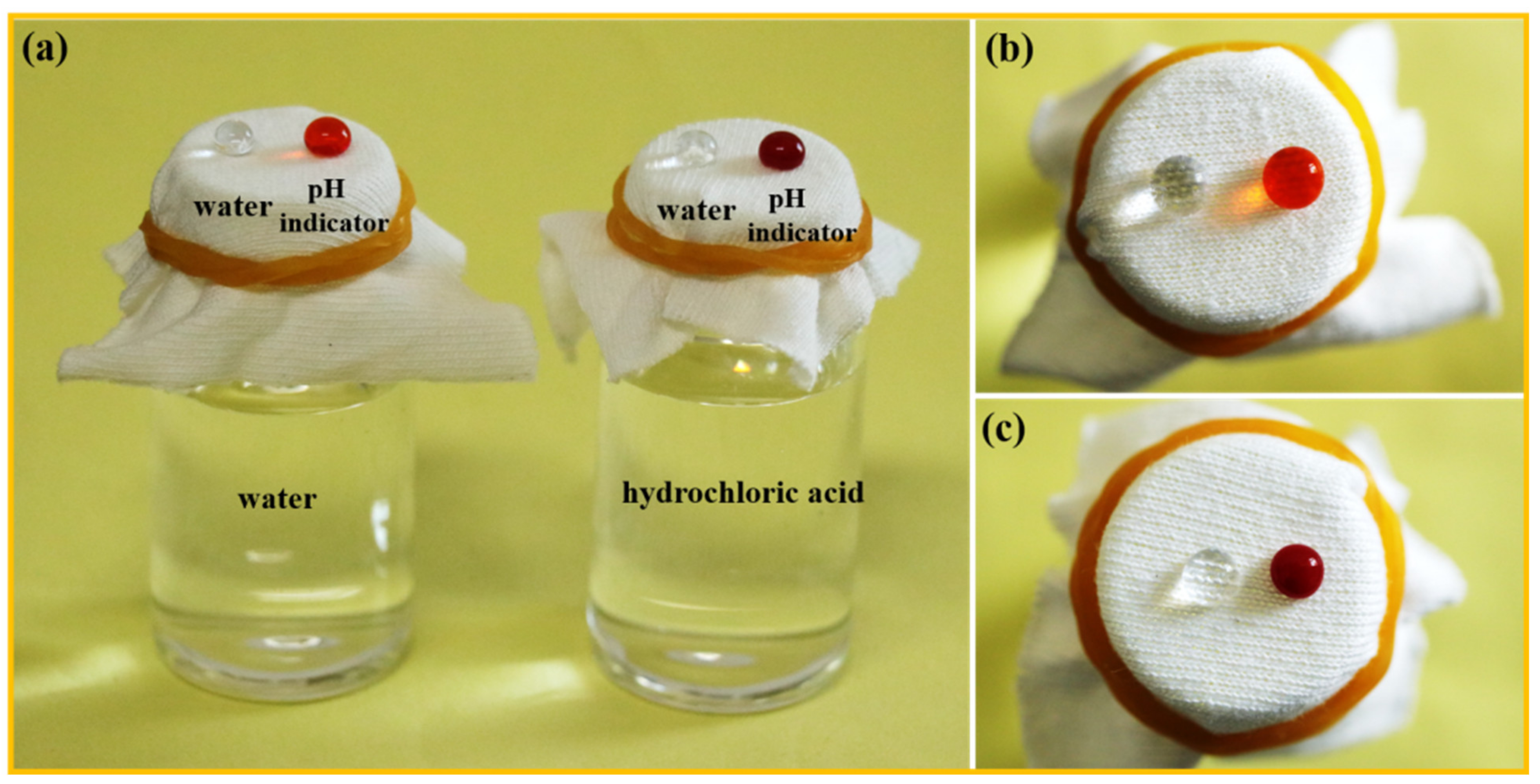 Polymers 15 02505 g005