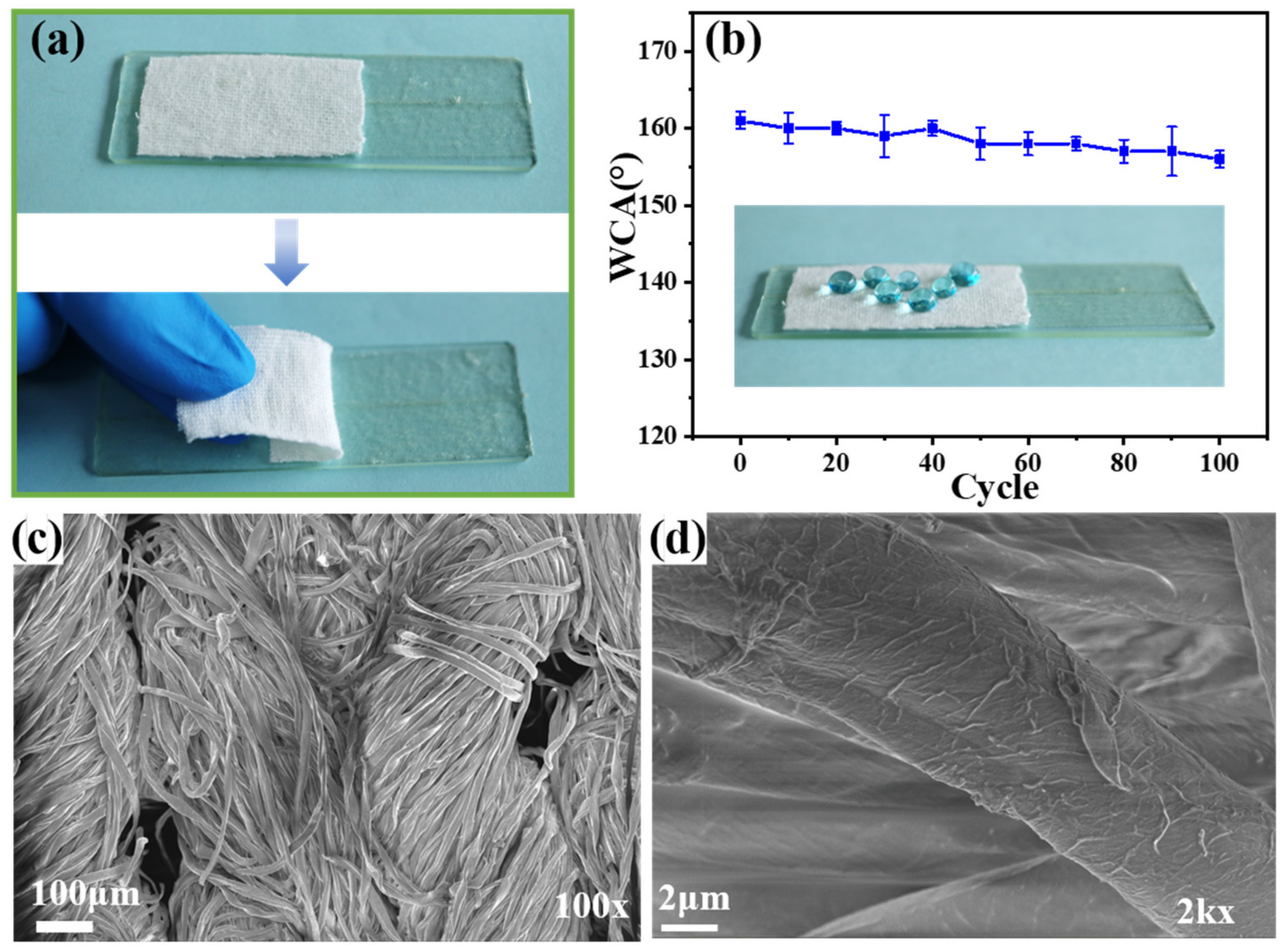 Polymers 15 02505 g008