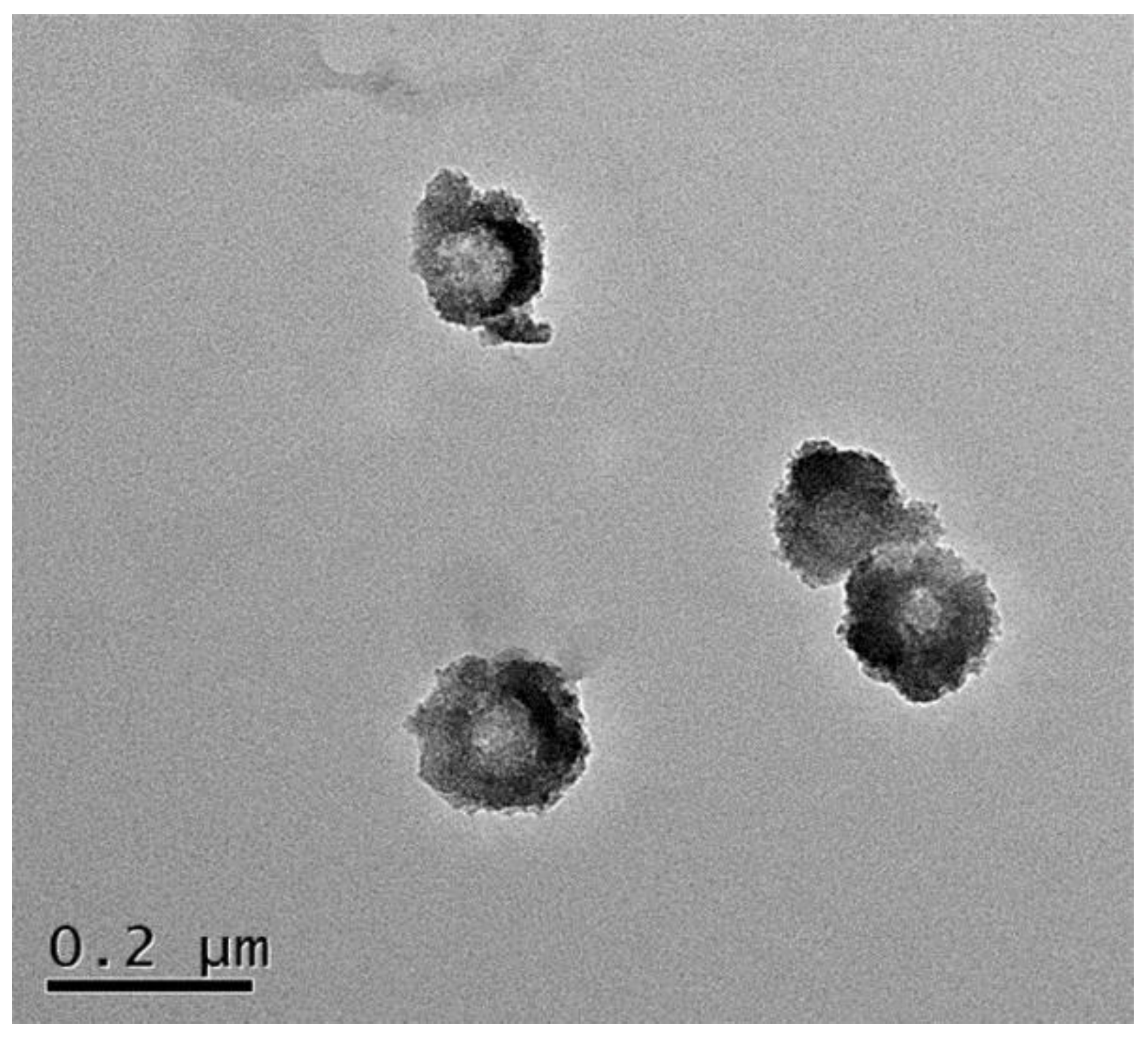Polymers 15 02510 g006 Polymers 15 02510 g006